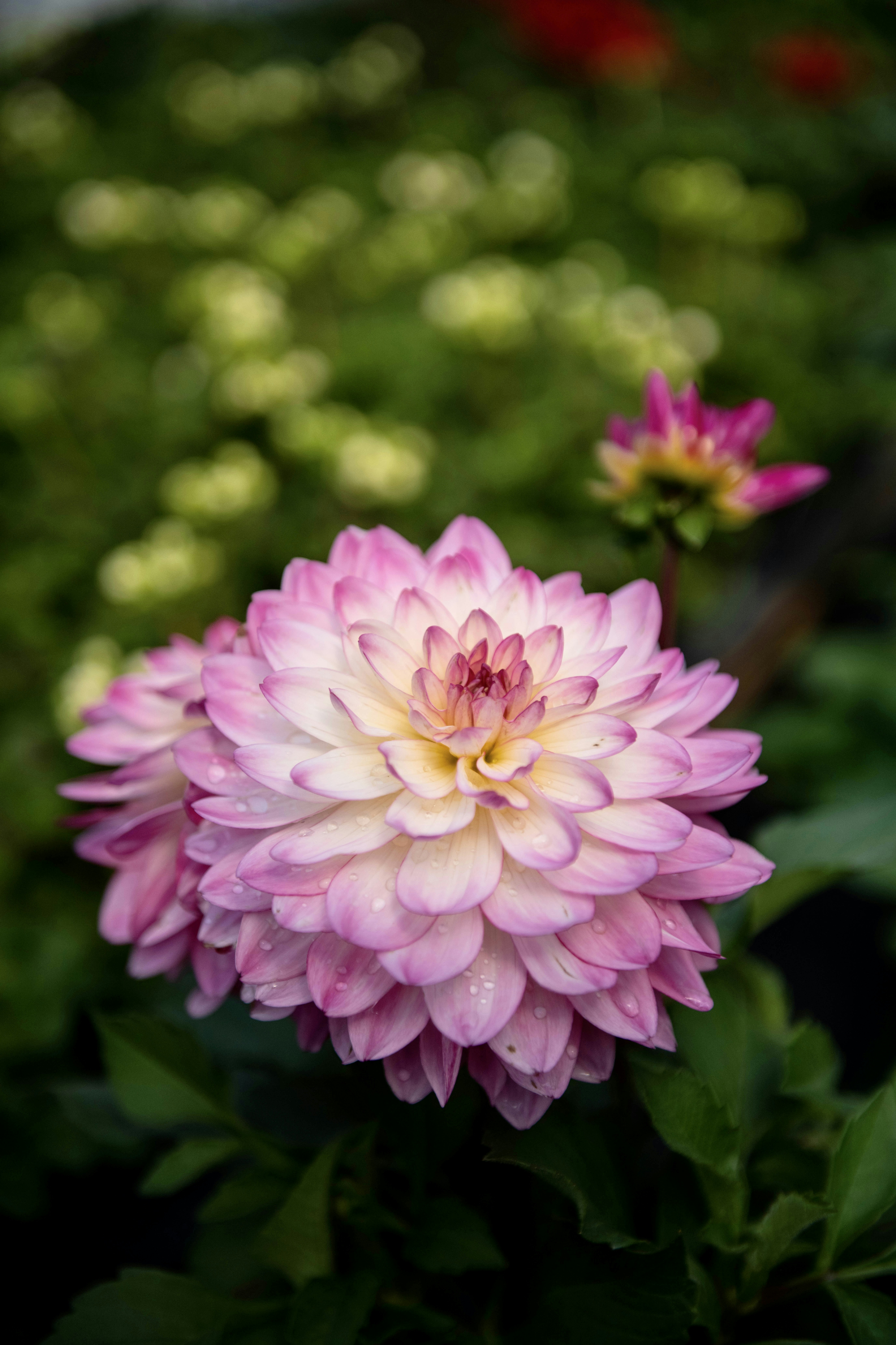 Photo by hlandkammer