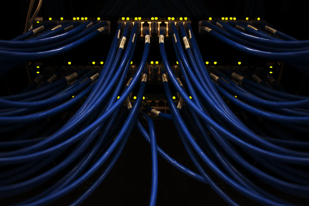 Structured network cabling terminated in a patch panel