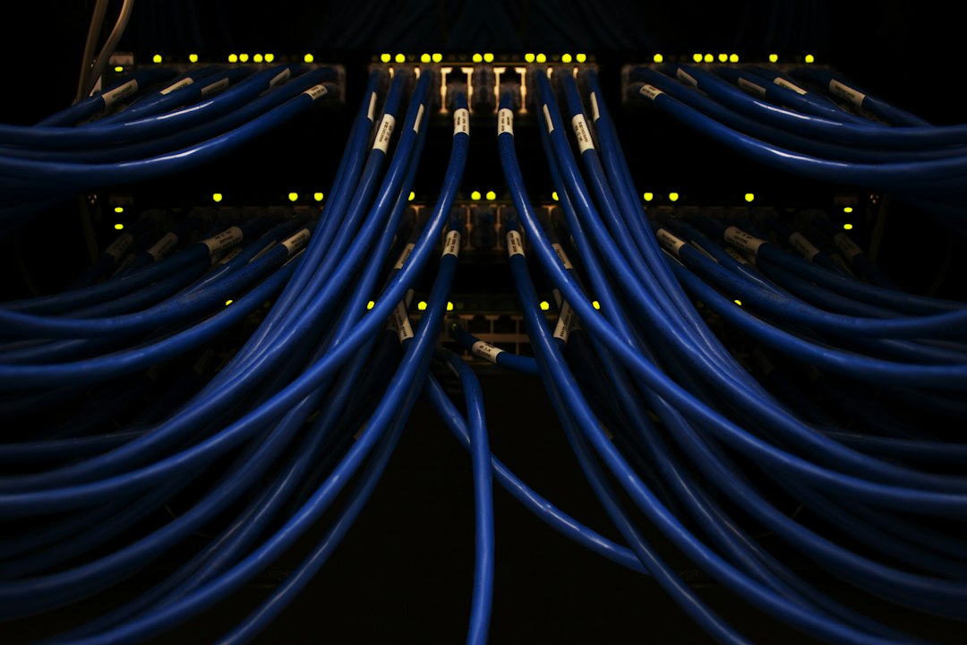 network cables bundle