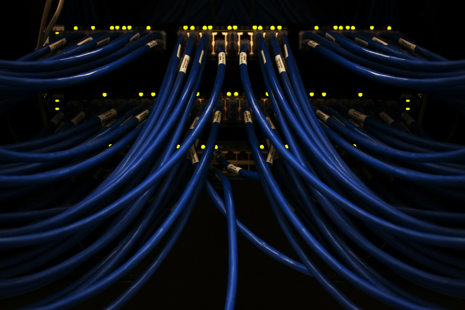 Blue fiber-optic cables connected inside network equipment