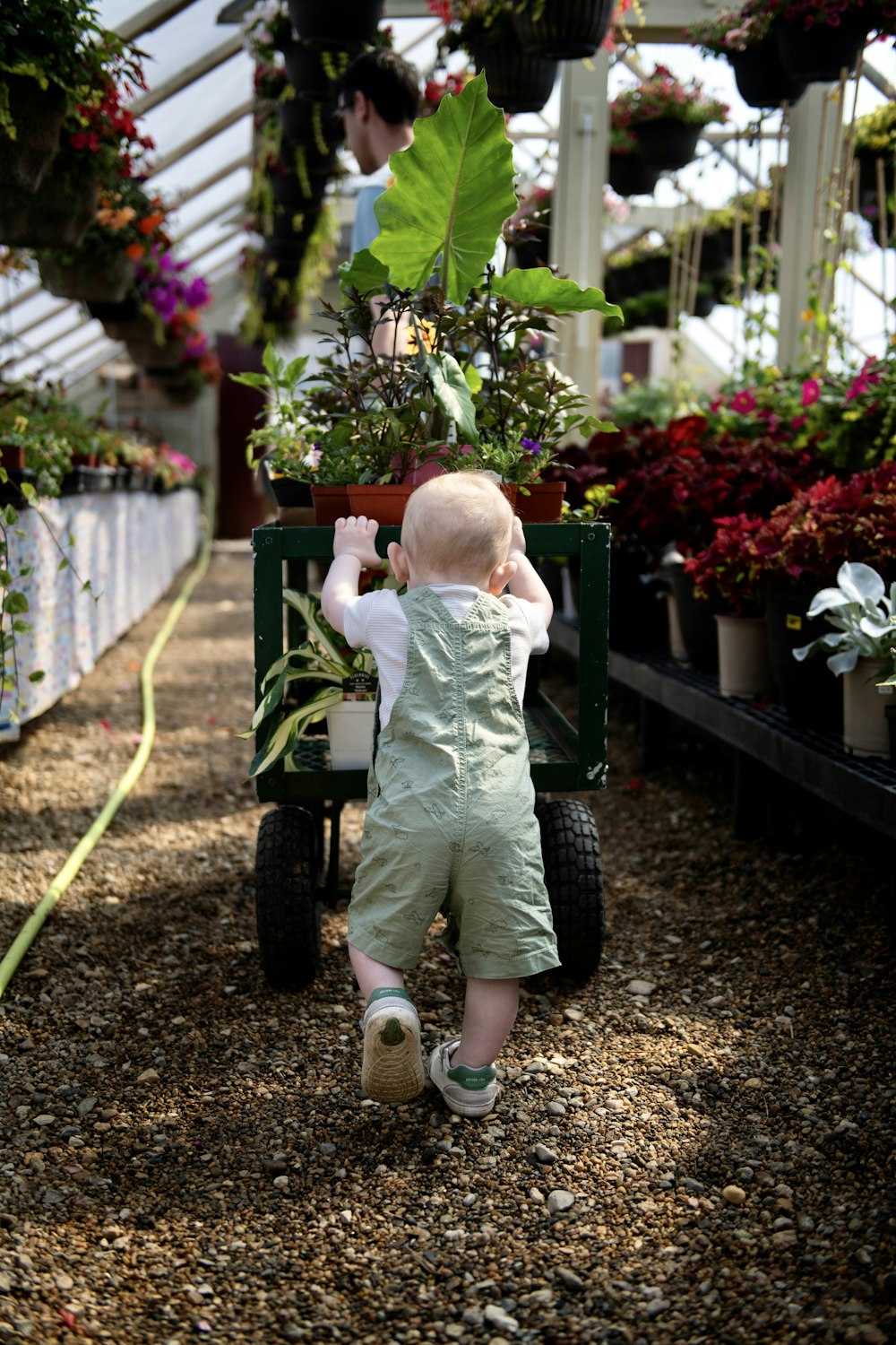 a baby in overalls pushing a cart with plants in it