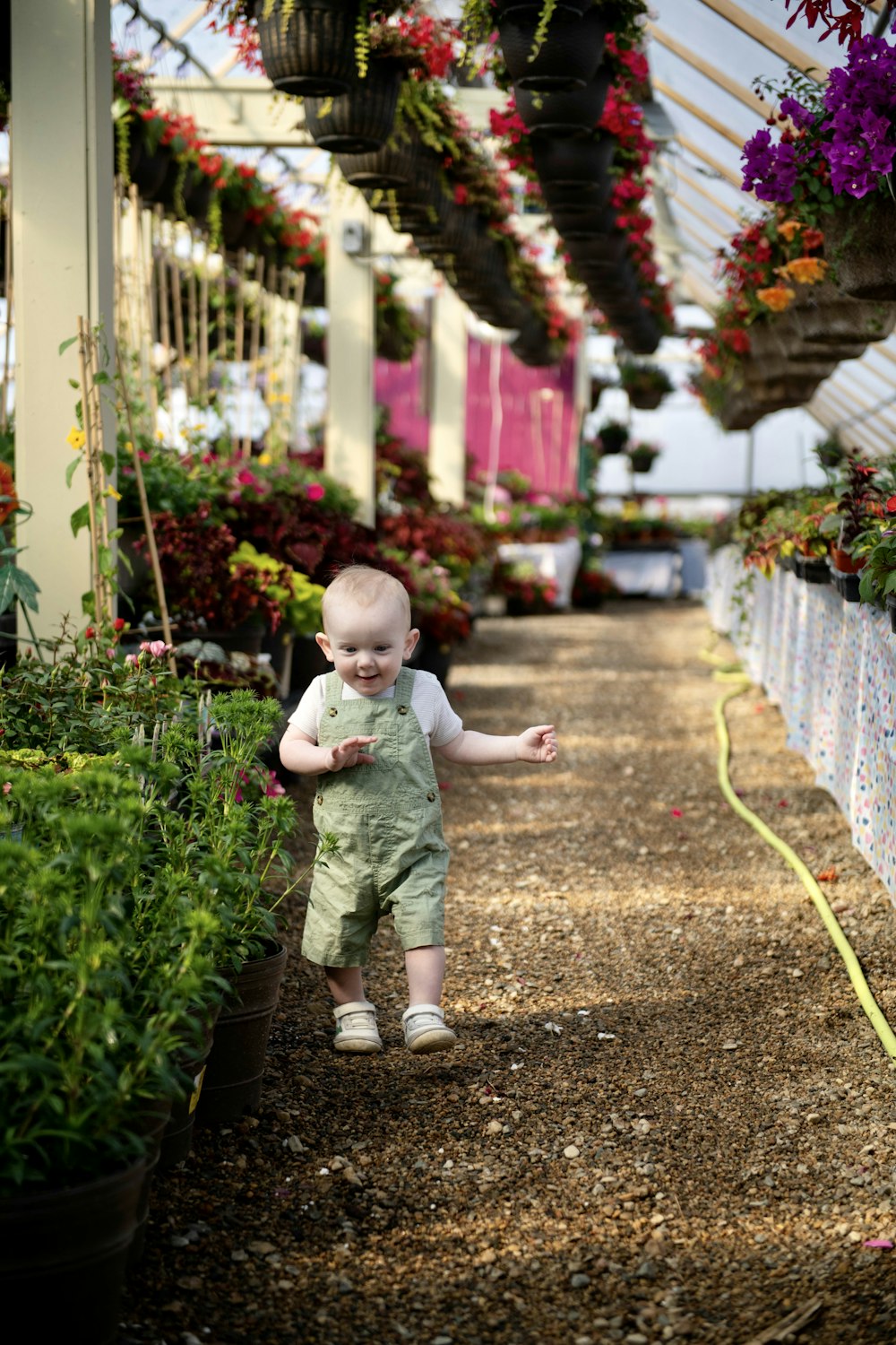 a baby walking down a path in a greenhouse
