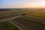 an aerial view of a farm field at sunset