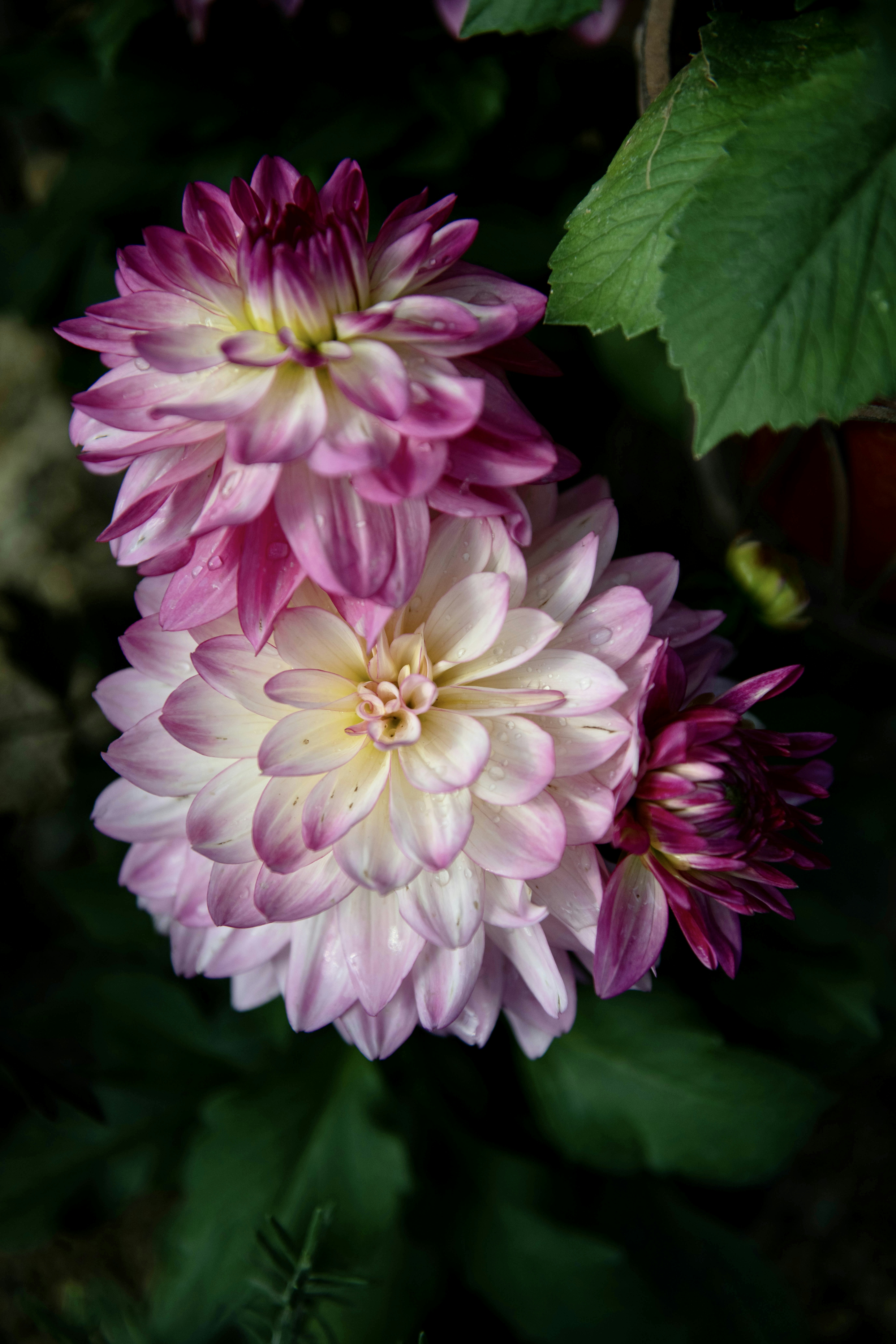 Photo by hlandkammer