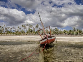 a boat sitting on top of a sandy beach