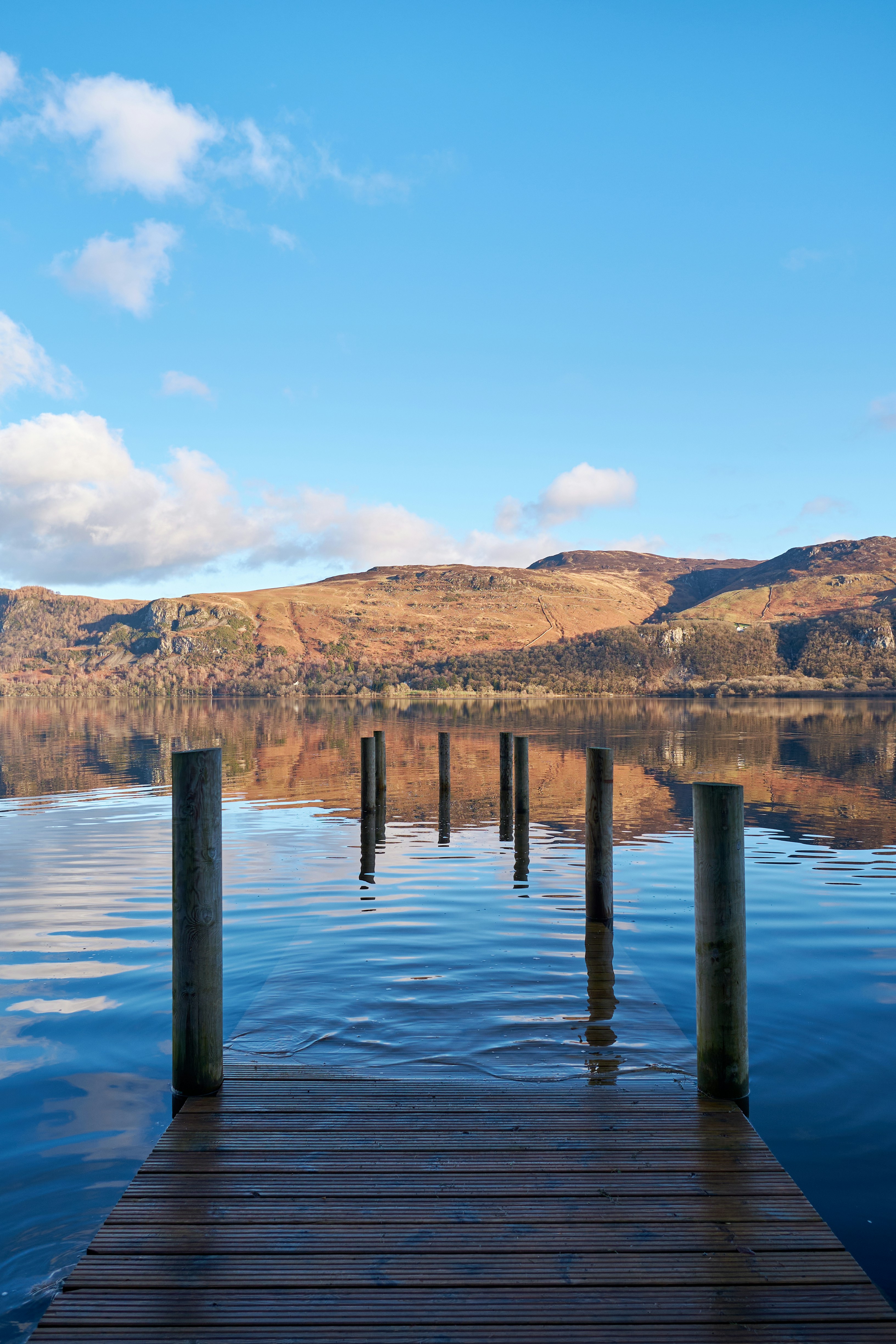 Photo by frostroomhead