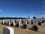 Wide shot of the clean, orderly rows of graves under a clear blue sky.