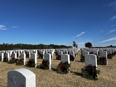 Wide shot of the clean, orderly rows of graves under a clear blue sky.