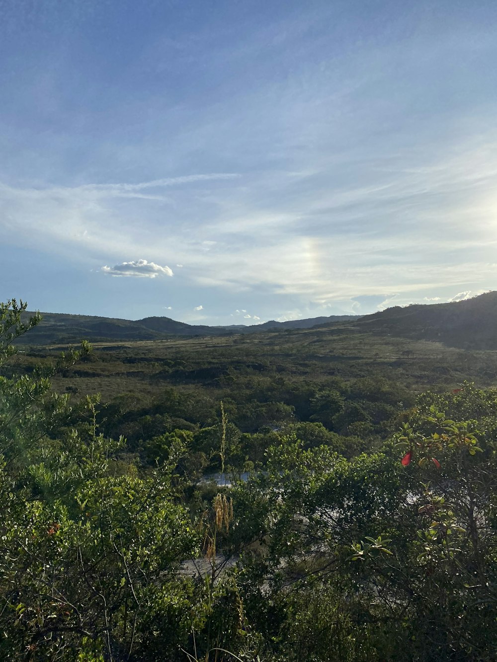 a scenic view of a valley with mountains in the distance