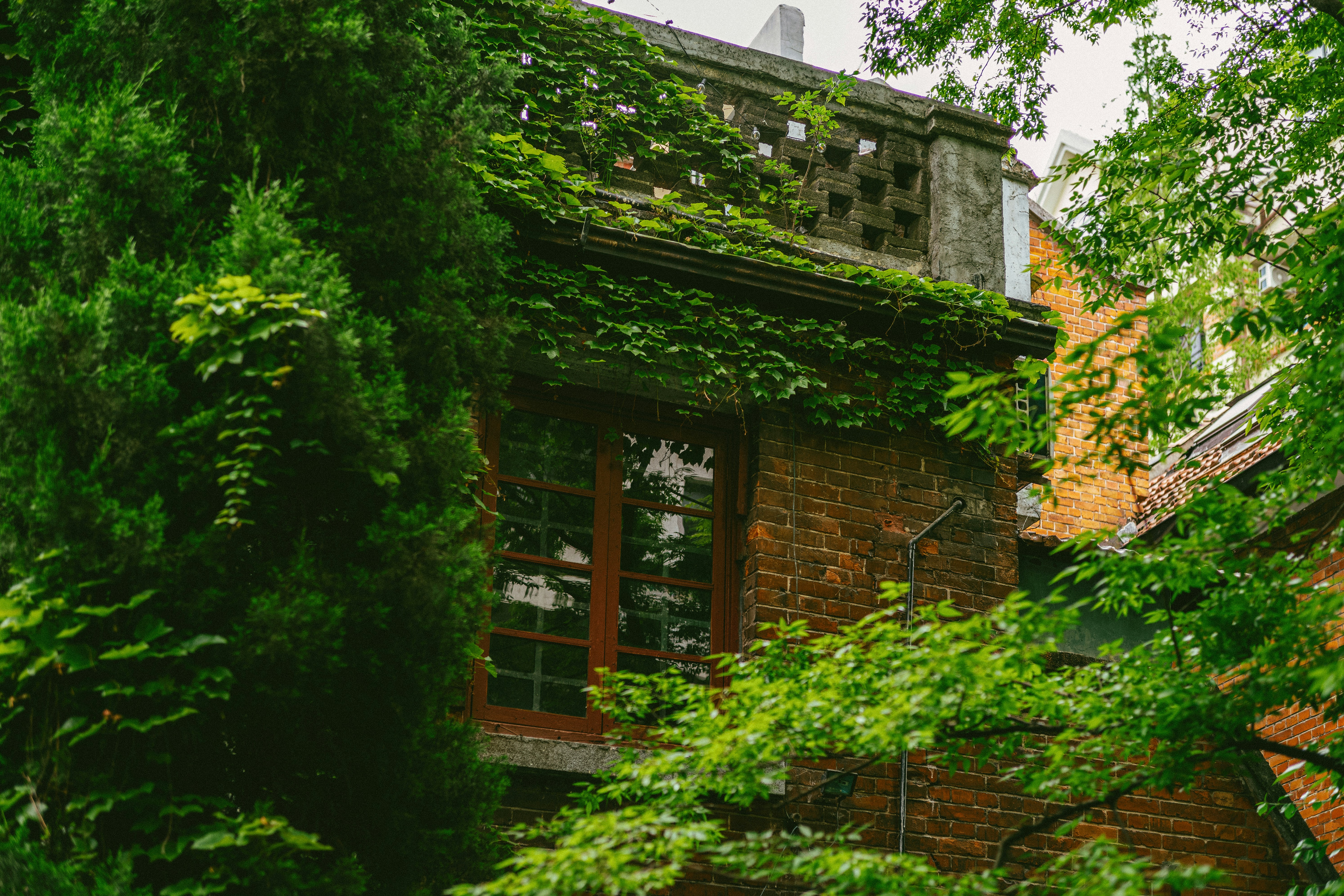 Photo by tommaomaoer