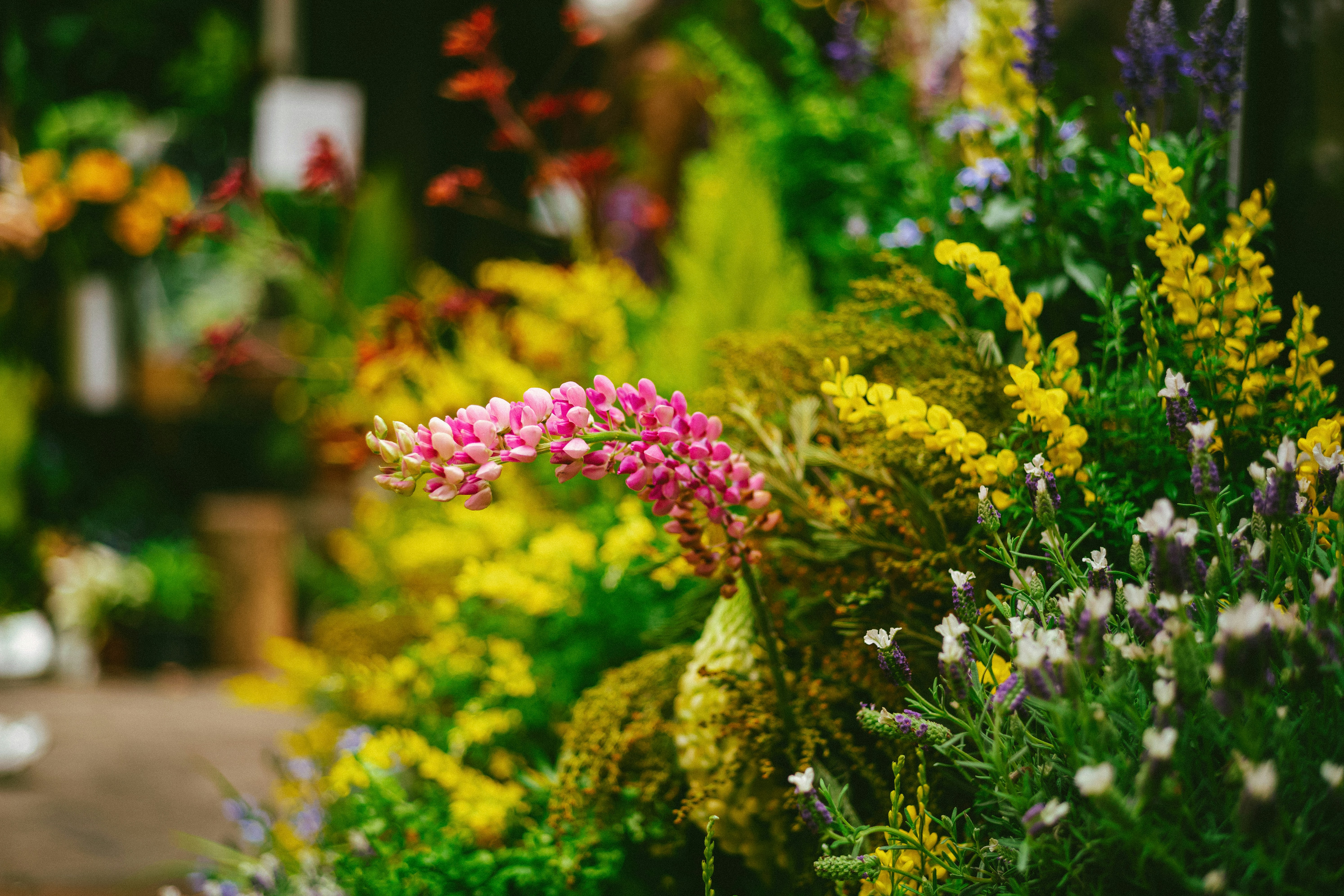 Photo by tommaomaoer