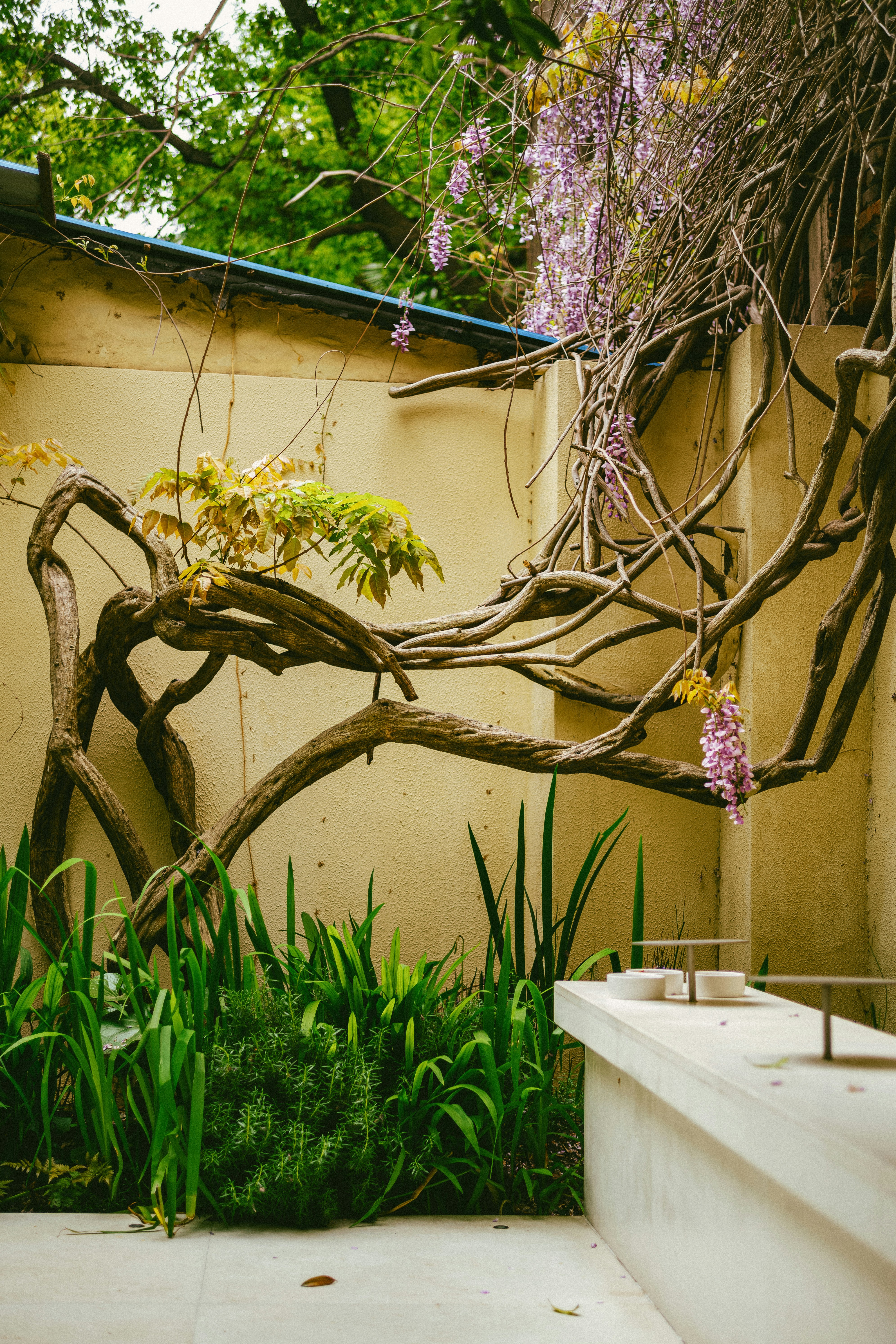 Photo by tommaomaoer