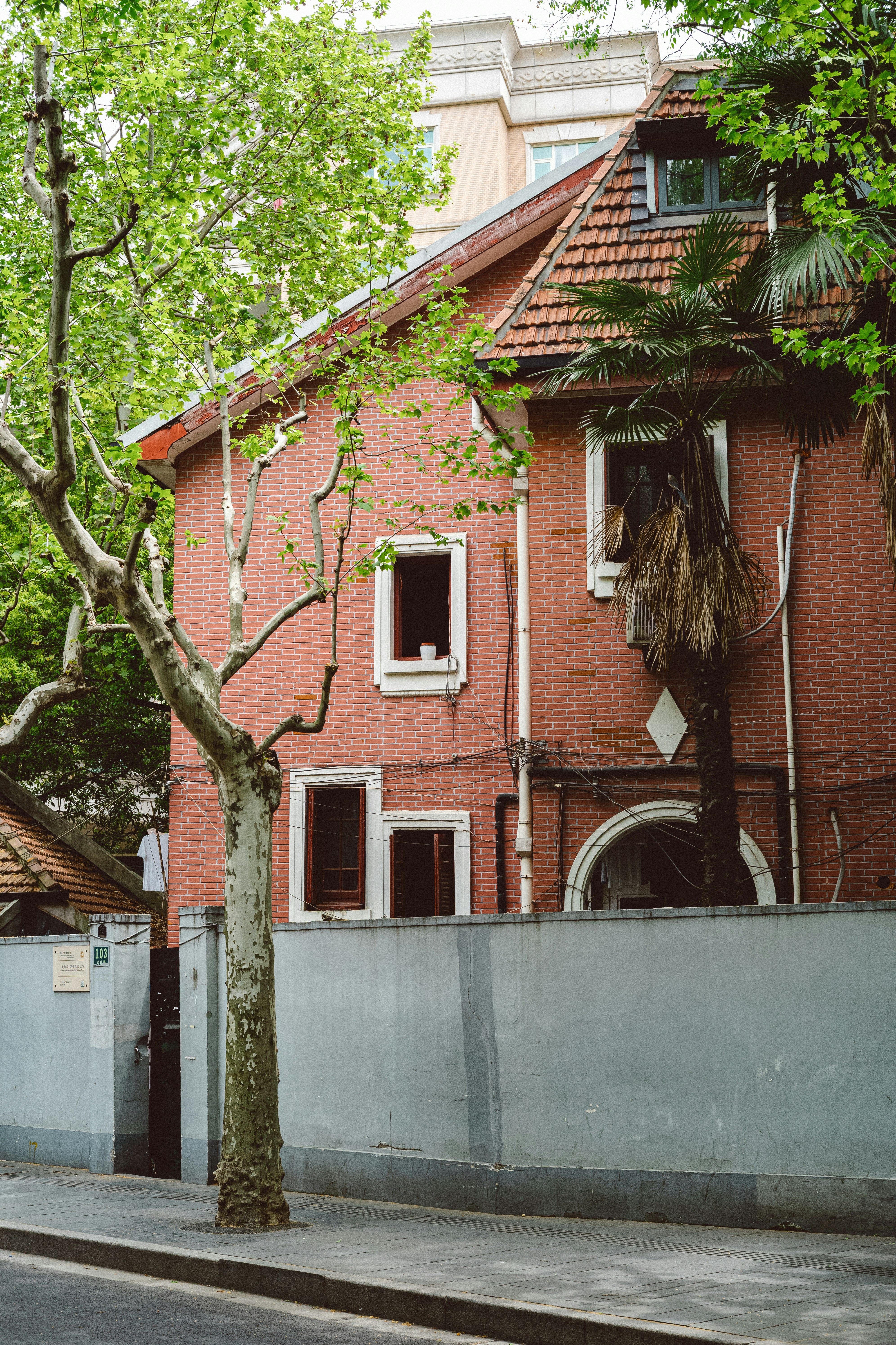 Photo by tommaomaoer