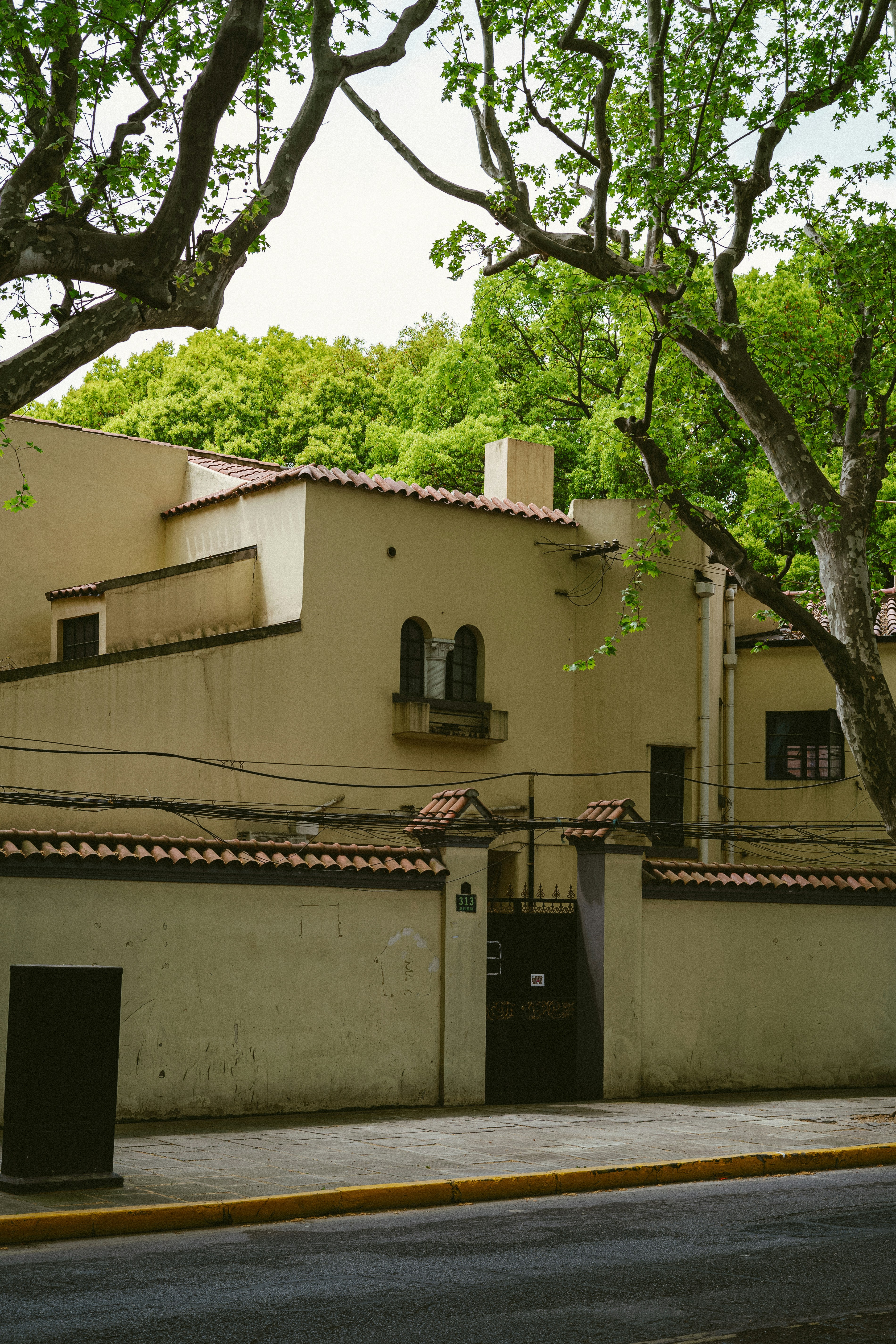 Photo by tommaomaoer