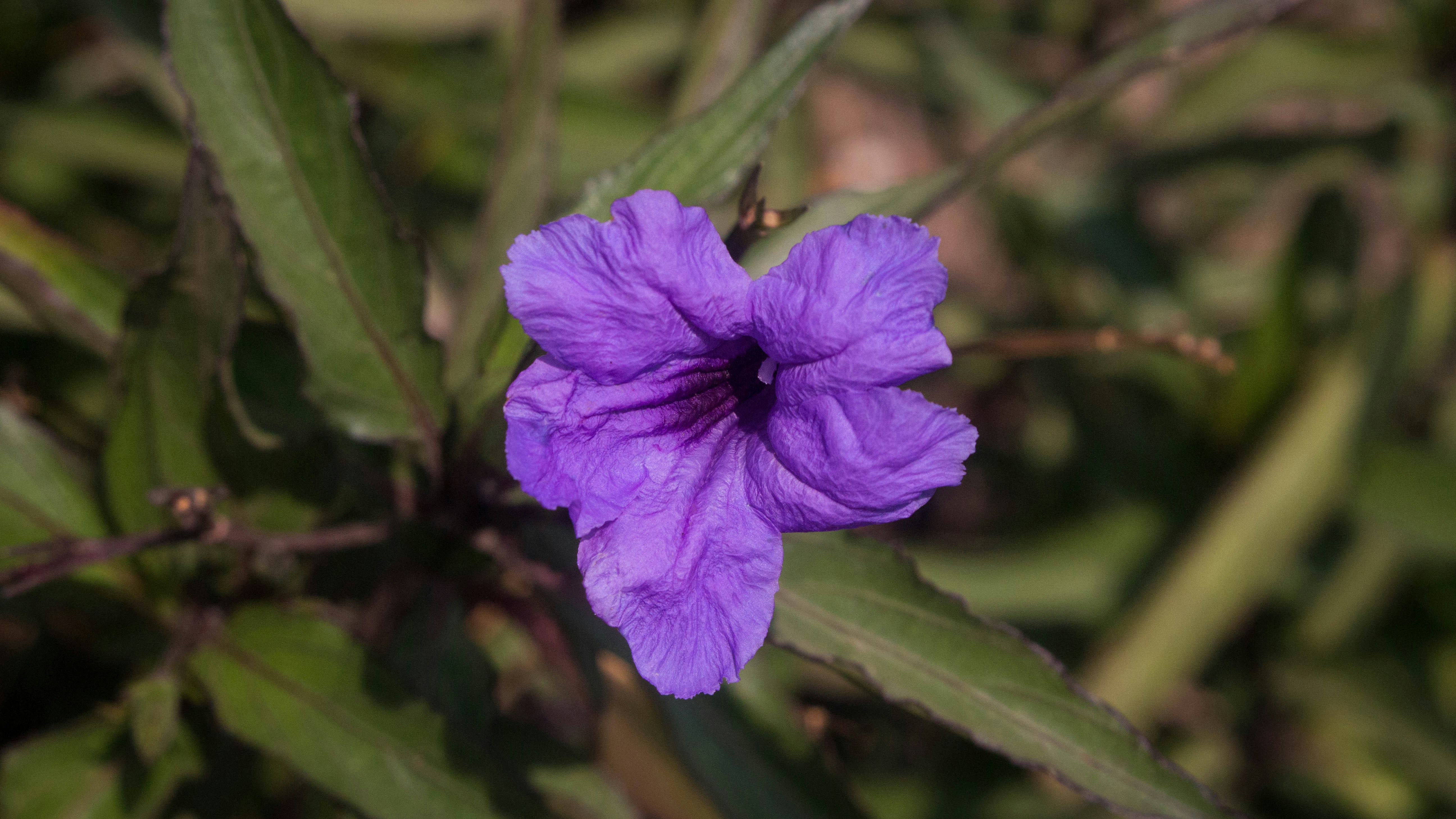 Photo by tania_vanessa