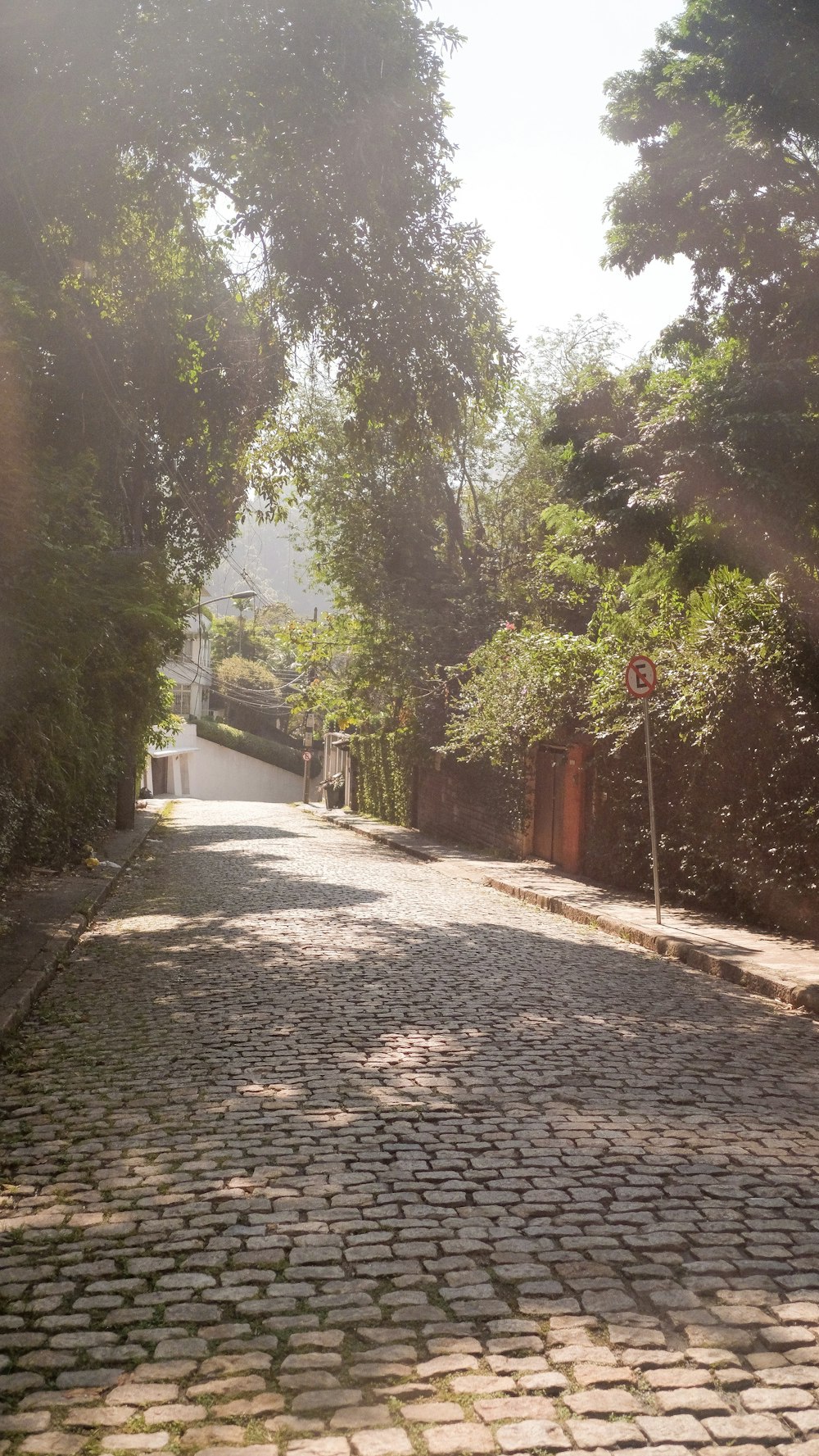 a cobblestone street with trees lining the sides