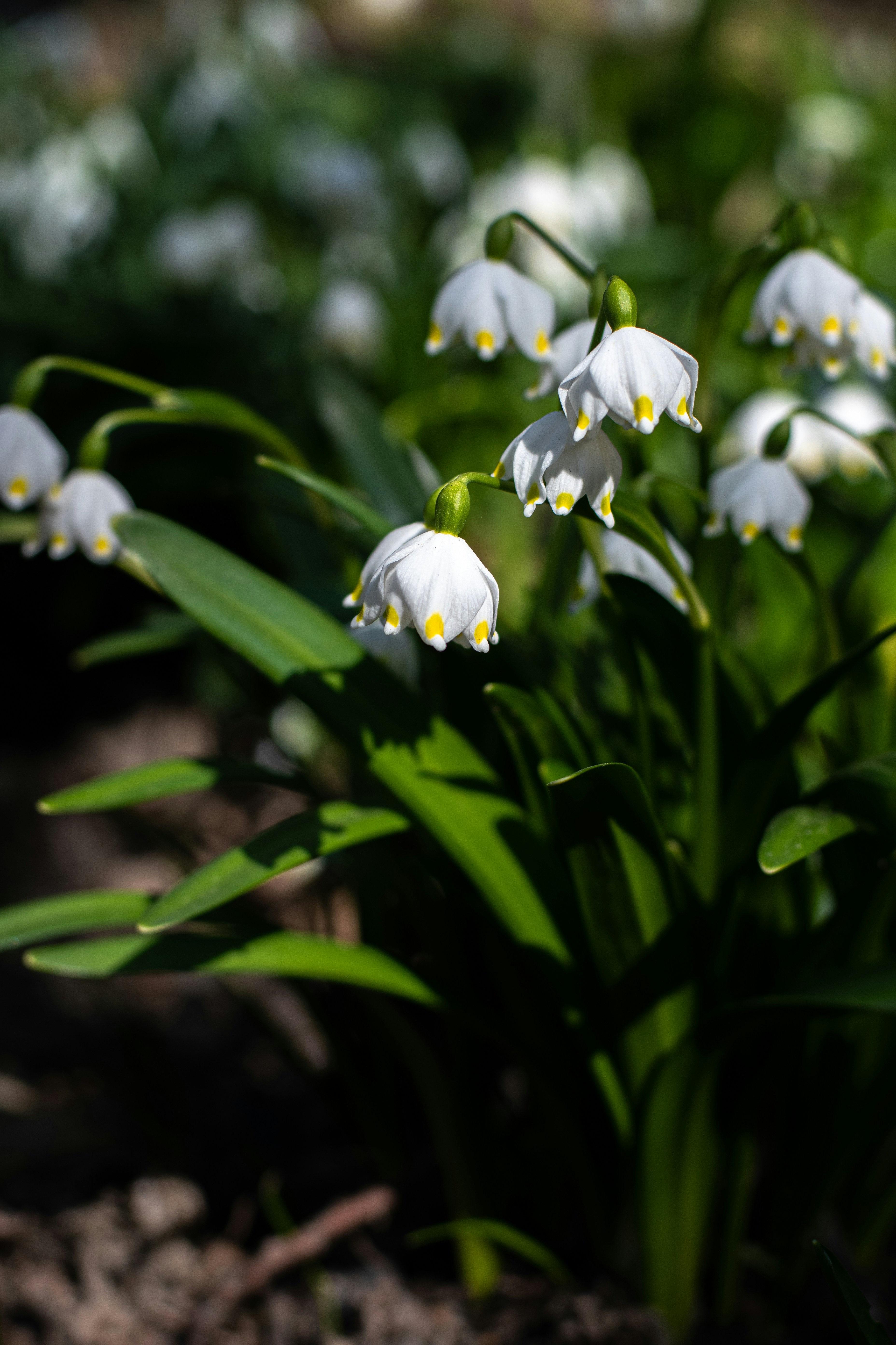 Photo by nataliaraylenegusakova