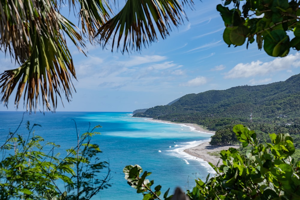 a view of a tropical beach from a hill