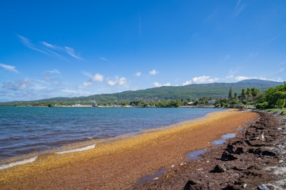 a sandy beach with clear blue water and mountains in the background