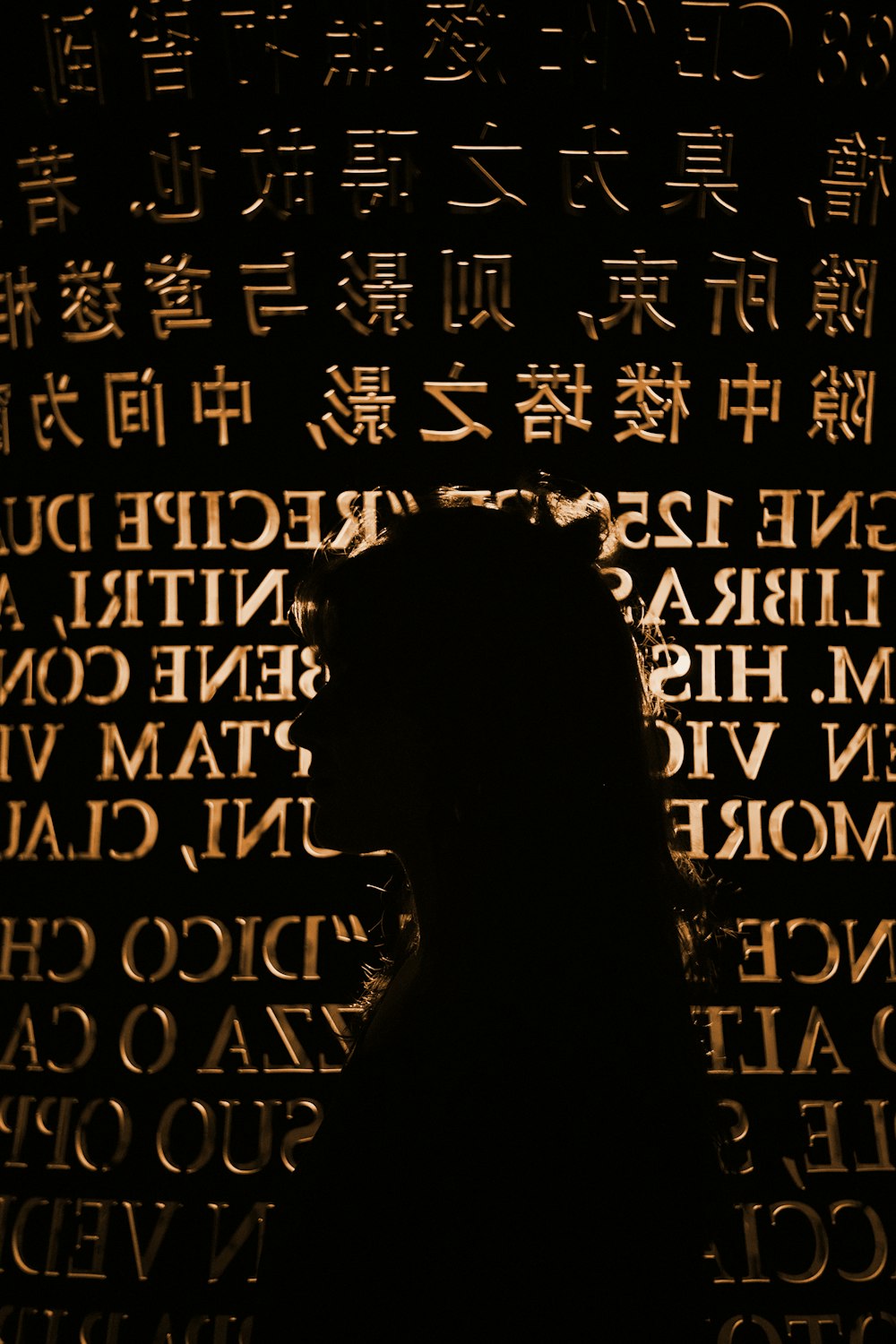 a silhouette of a person in front of a wall of words