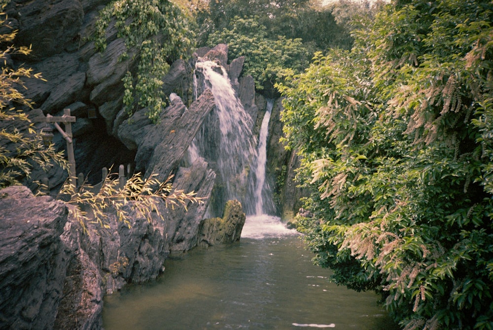 uma pequena cachoeira no meio de uma floresta