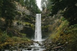 a waterfall in the middle of a forest