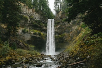 a waterfall in the middle of a forest