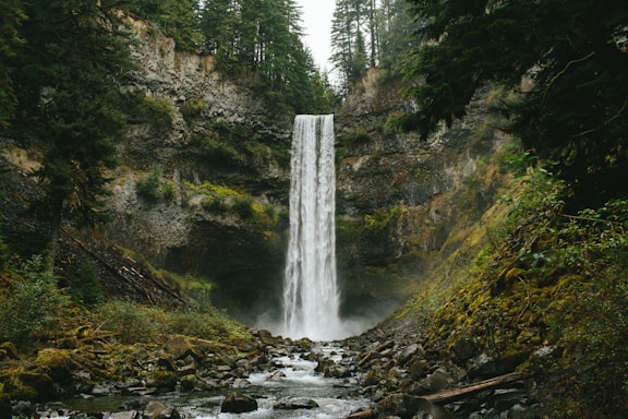 a waterfall in the middle of a forest