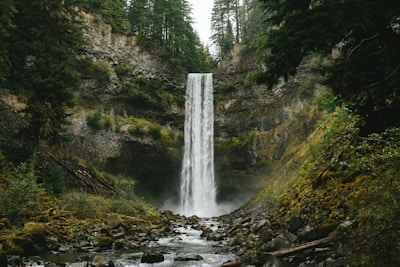 a waterfall in the middle of a forest