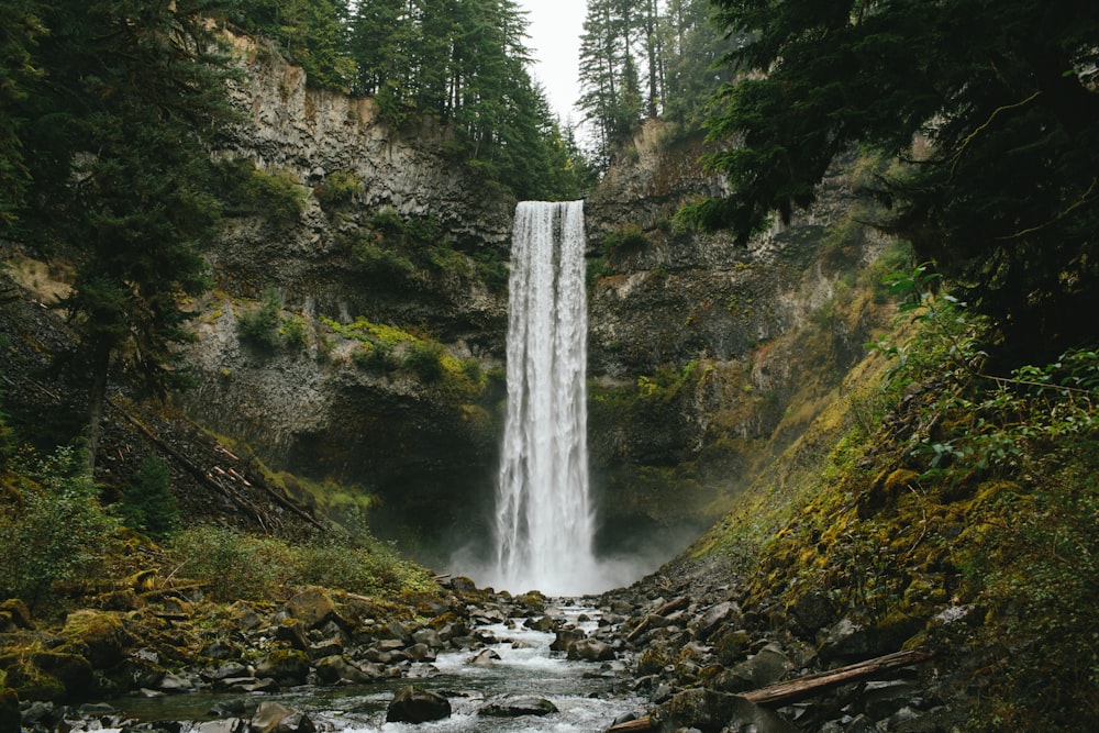 a waterfall in the middle of a forest