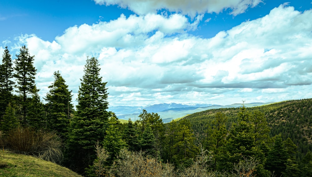 a scenic view of the mountains and trees