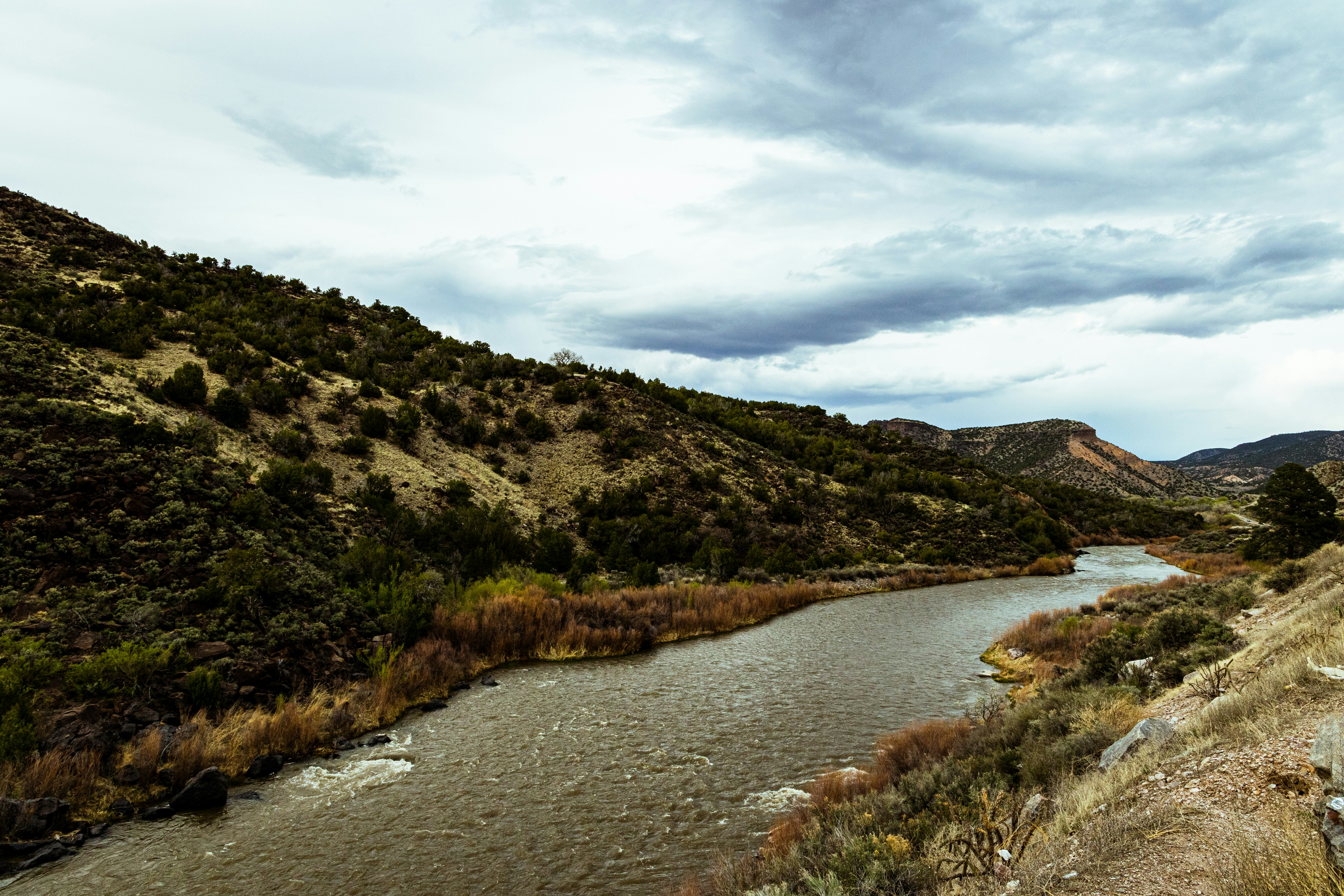 Photo by danieljerez