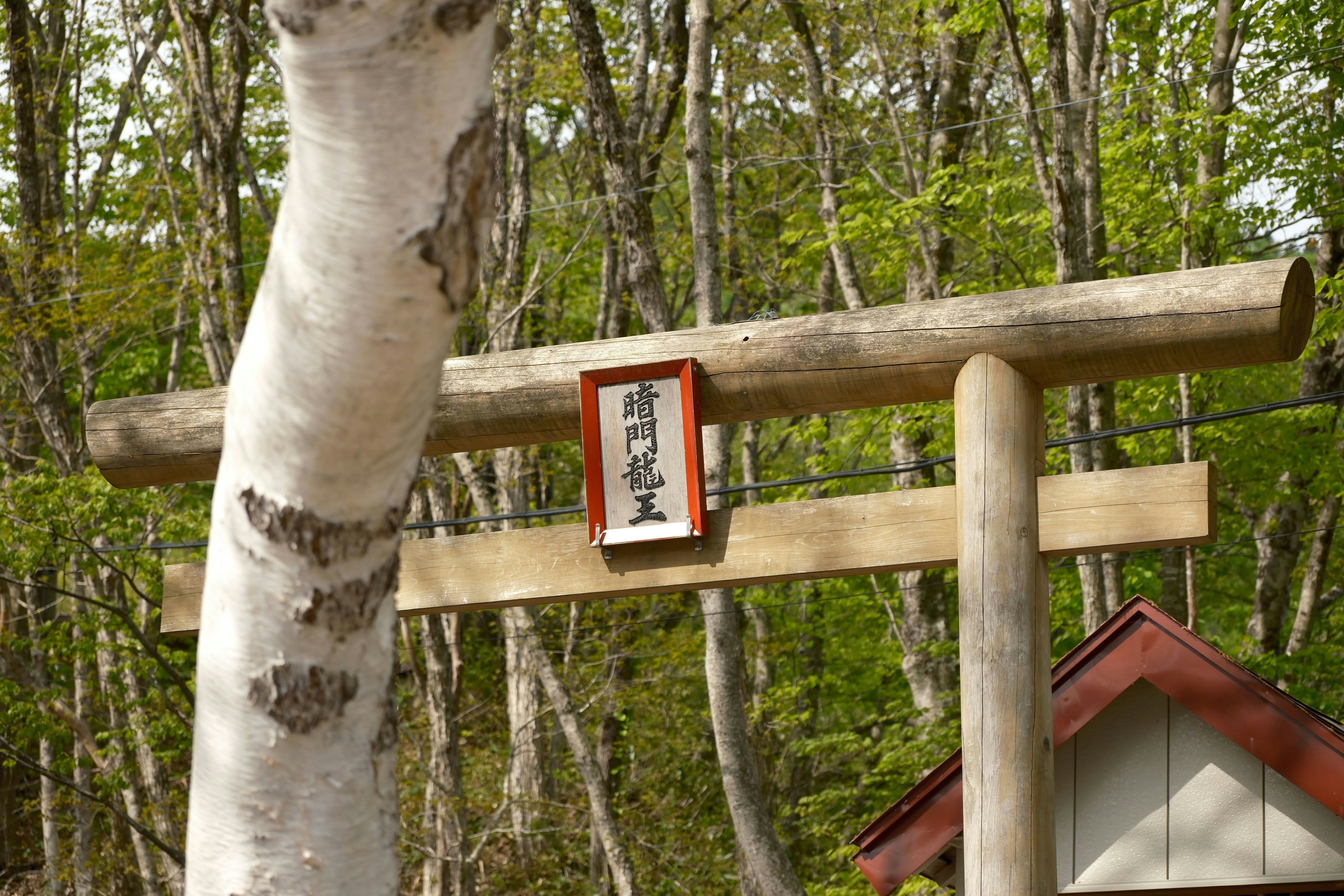 太宰府天満宮参道