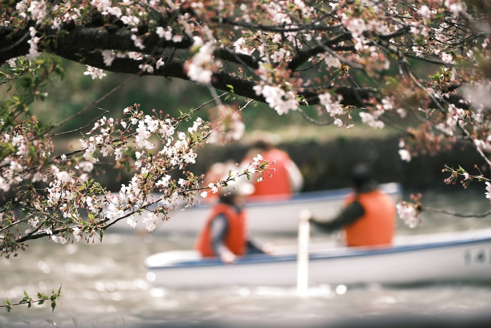 a couple of people in a boat on a body of water