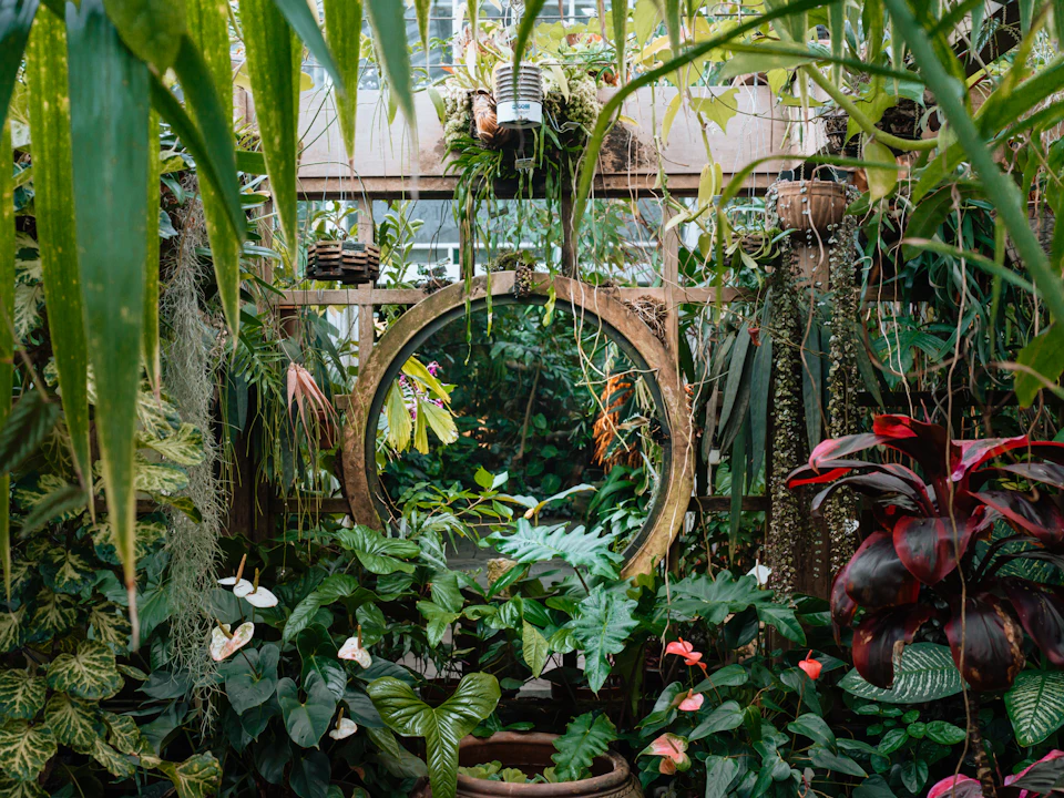 Lush tropical garden scene with large circular window surrounded by hanging baskets and plants