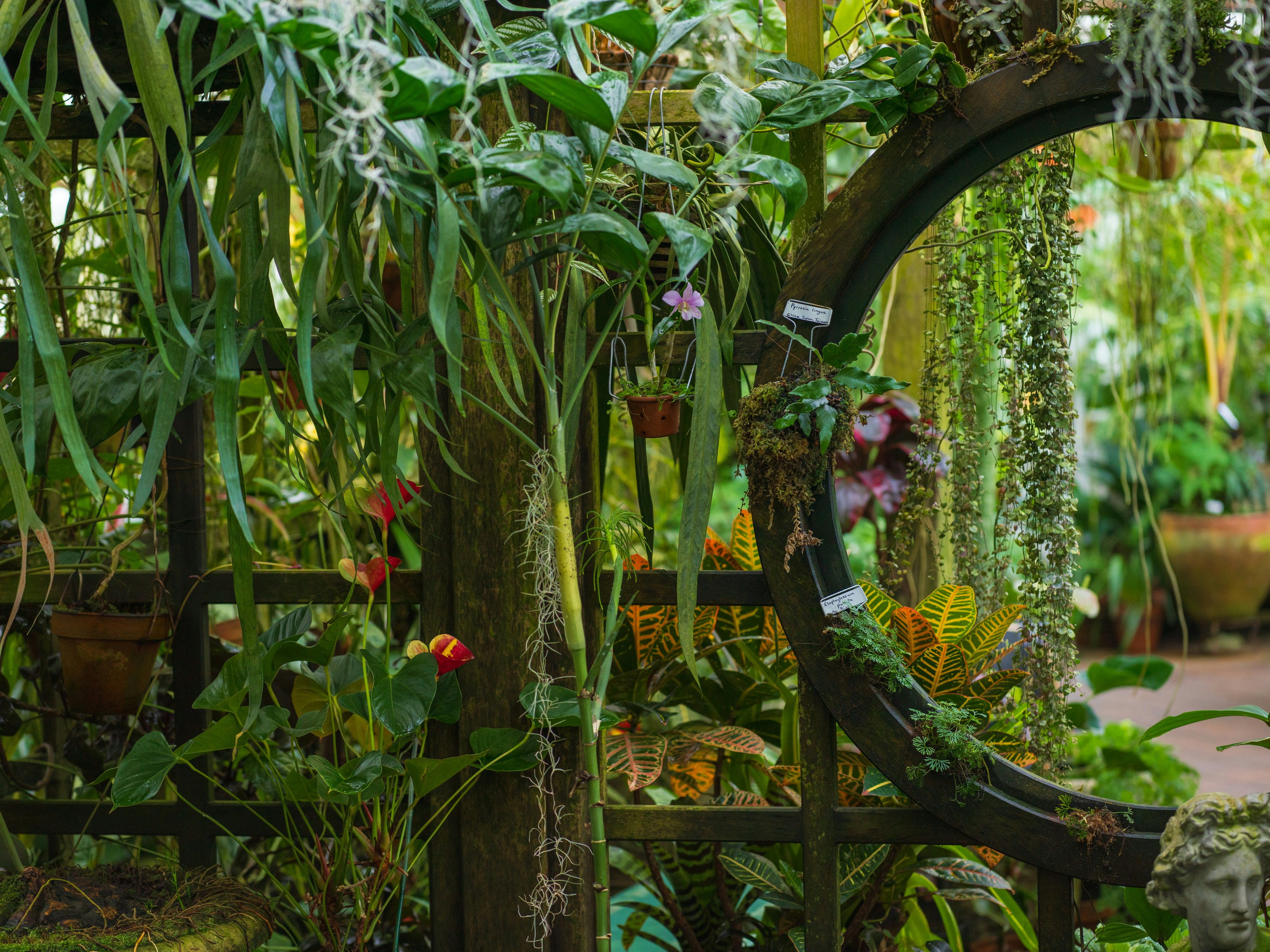 Photo by kierinsightarchives