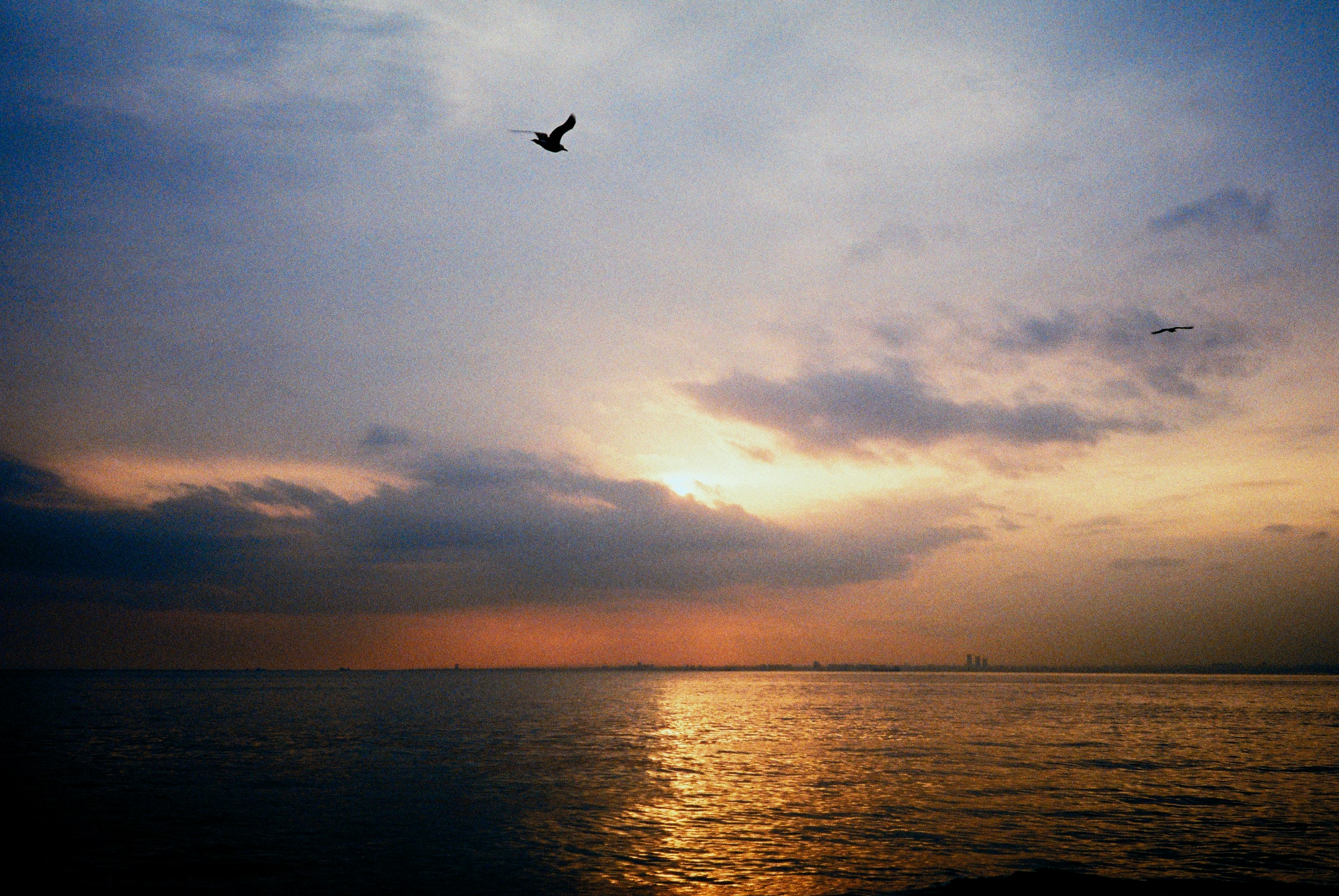 Photo by chingiztibei