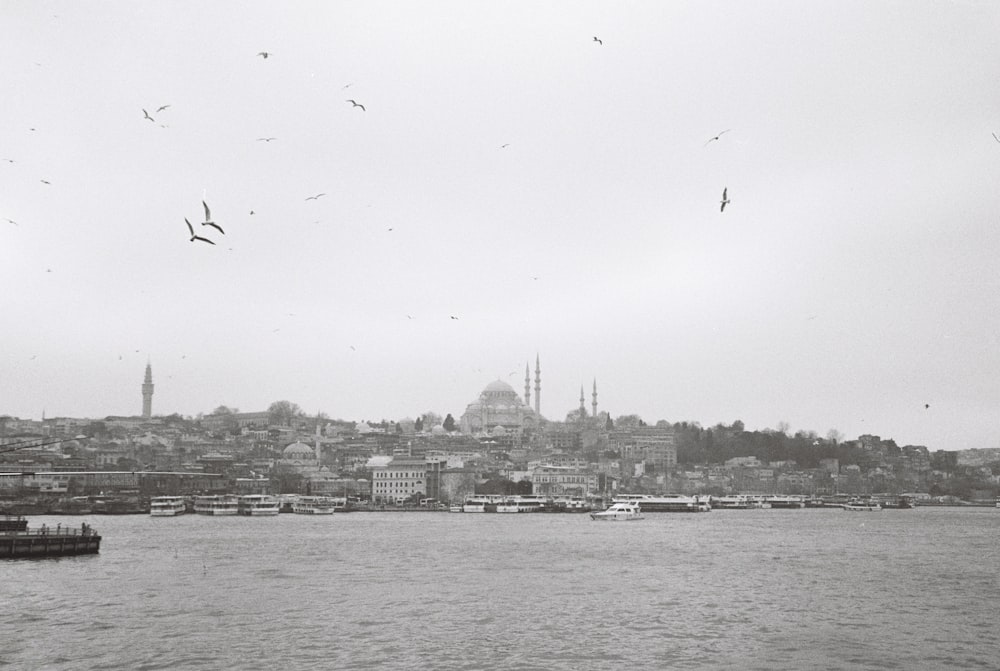 a large body of water with a city in the background