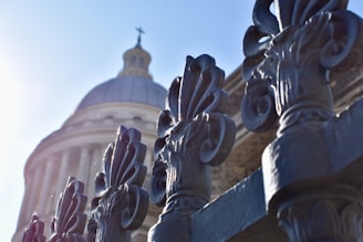 Ornate metalwork in the foreground with a blurred view of a classical dome structure in the background under a bright, clear sky.