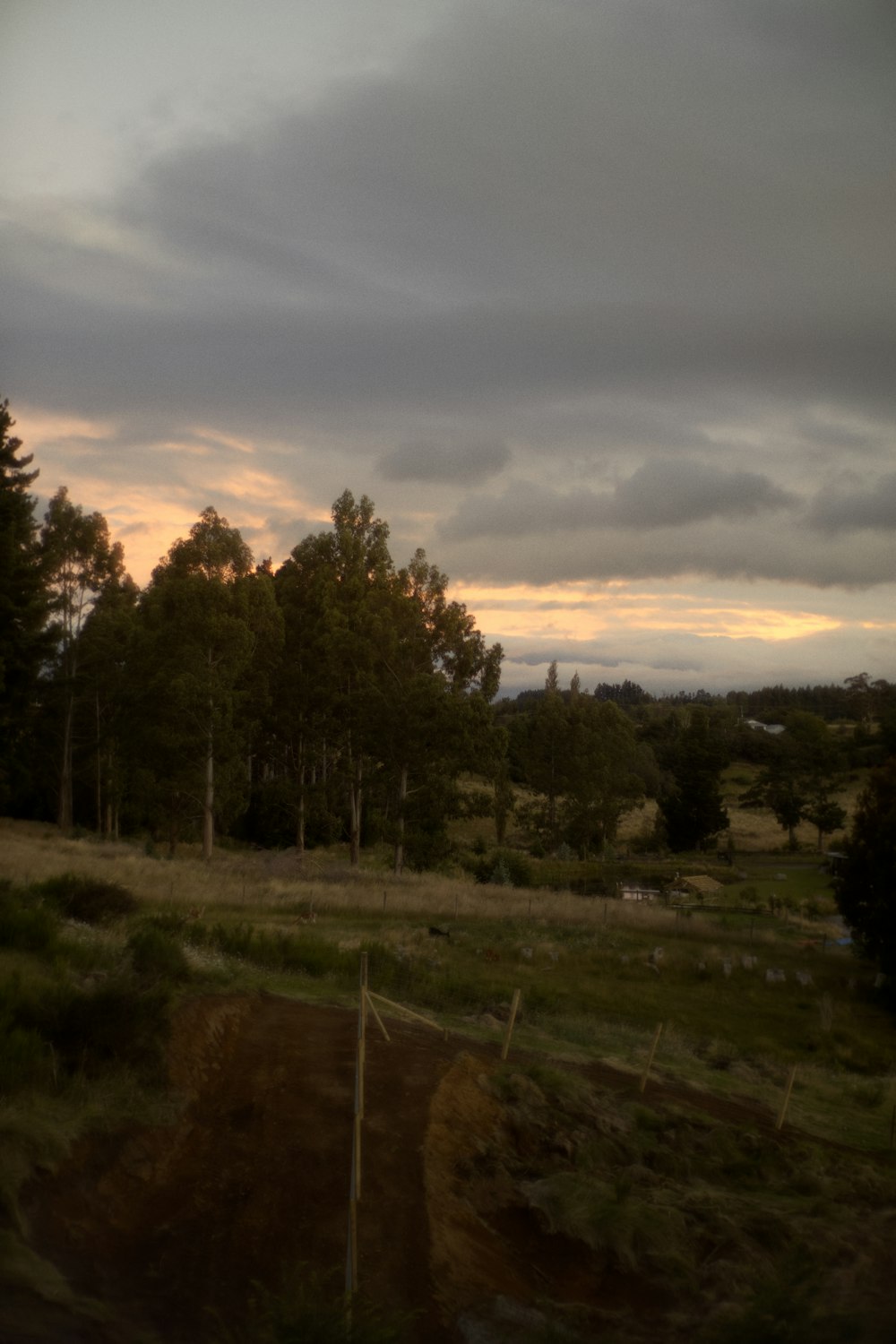 a field with a fence and trees in the background