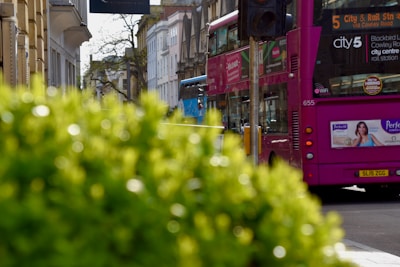 A bright pink double-decker bus is driving down a city street. The bus features multiple advertisements and its destination is displayed as 'City & Rail Stn via Cowley Road'. In the foreground, out of focus, are lush green bushes. On the left, there are several buildings lining the street.