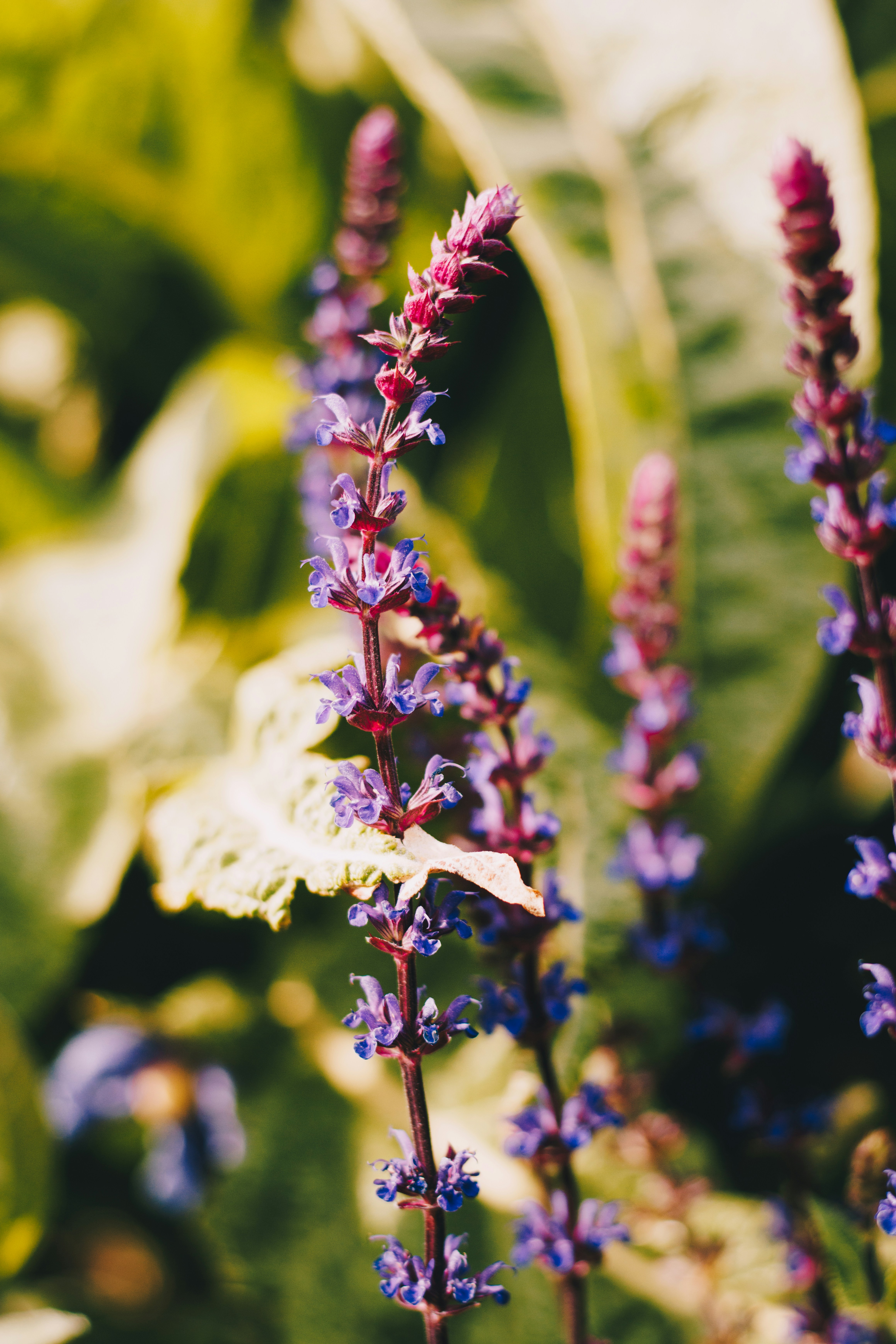 Photo by storywright