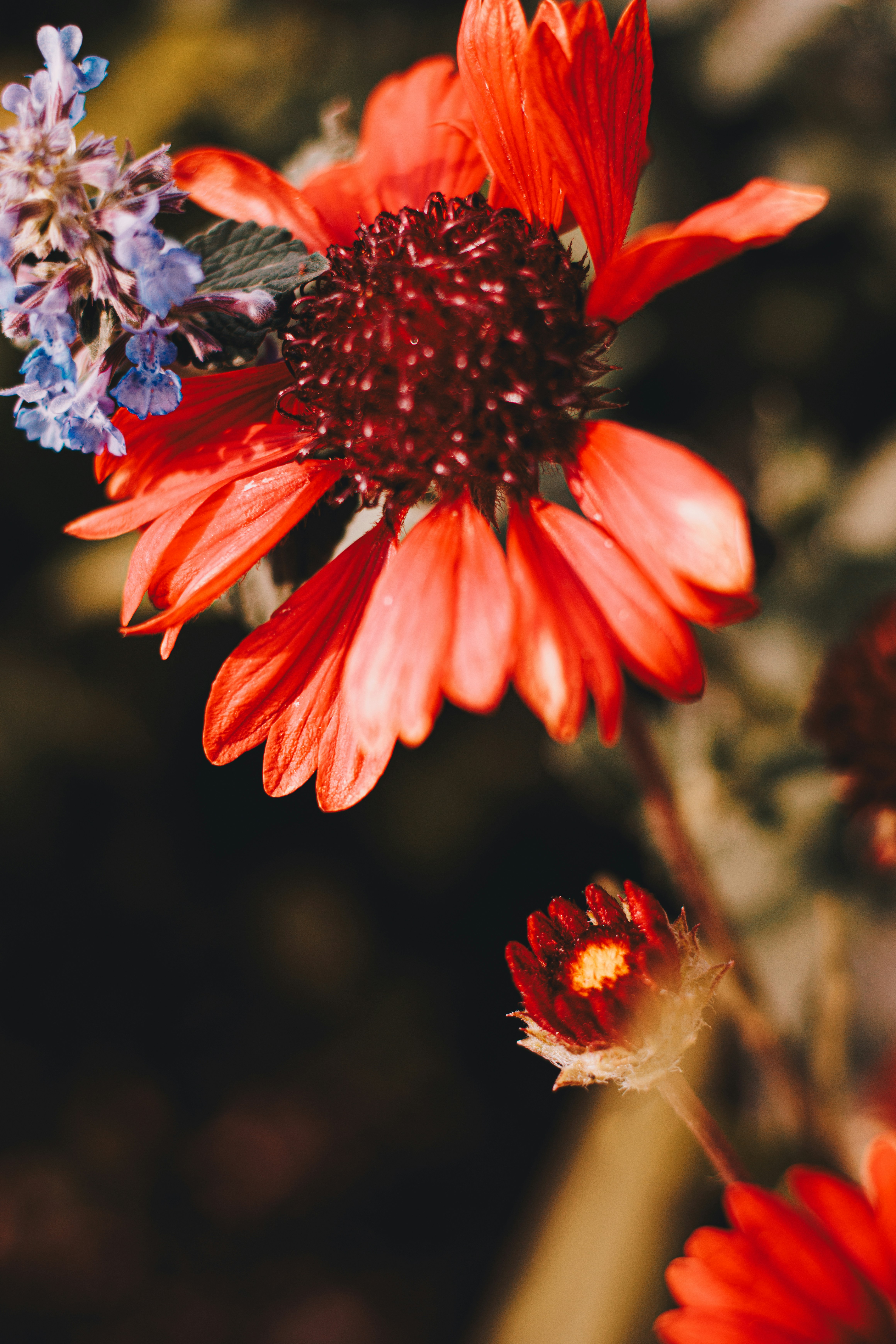 Photo by storywright