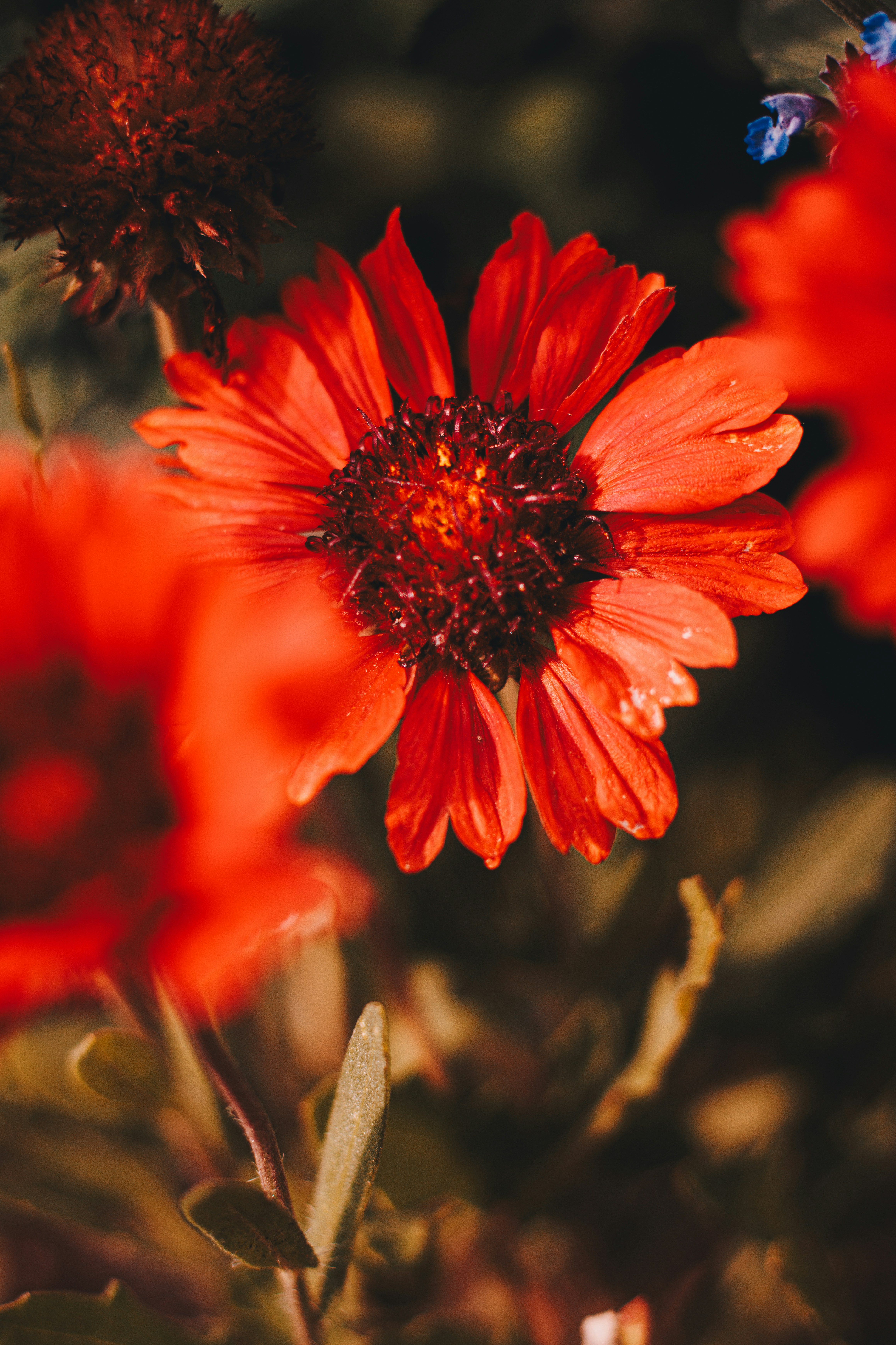 Photo by storywright