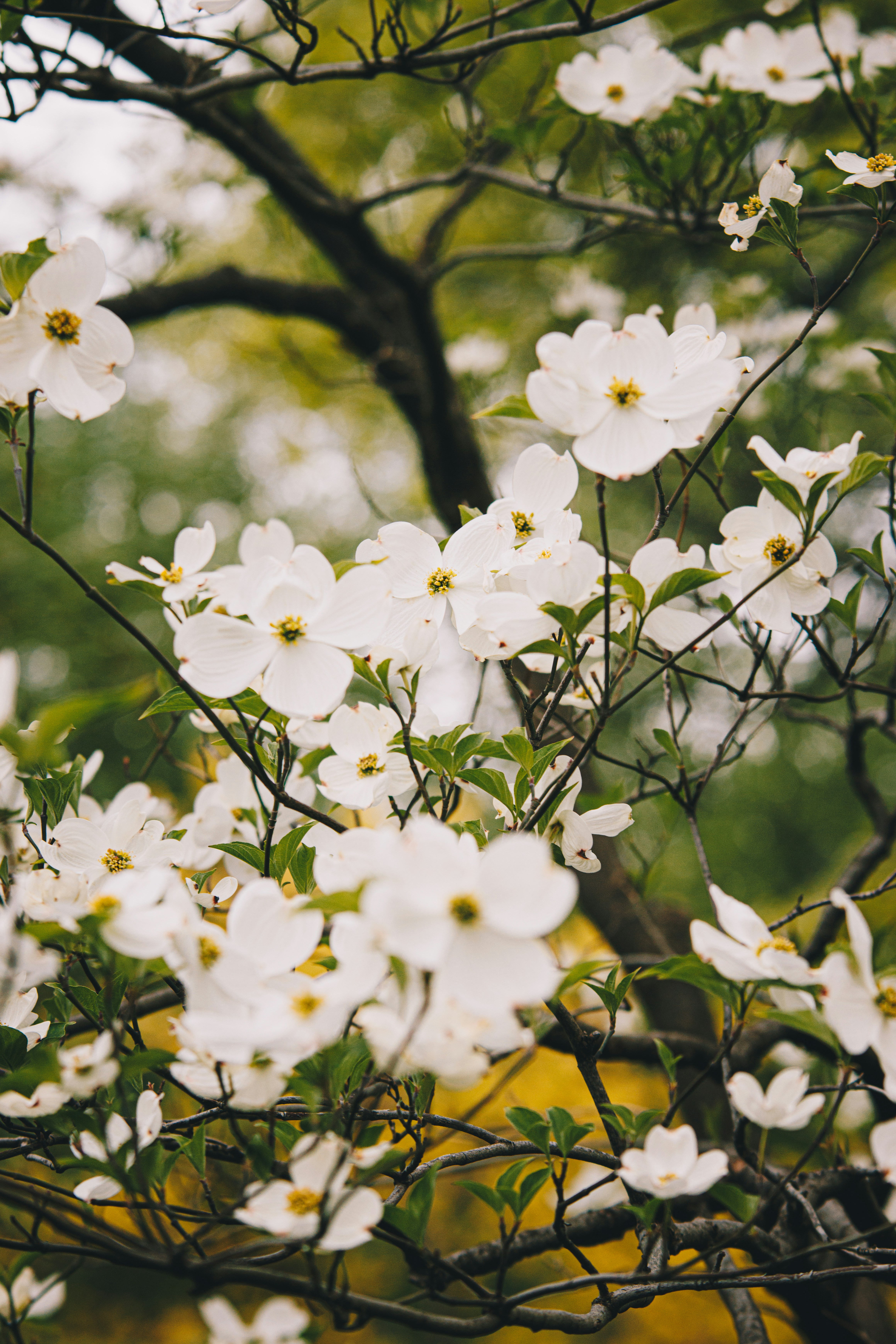 Photo by storywright