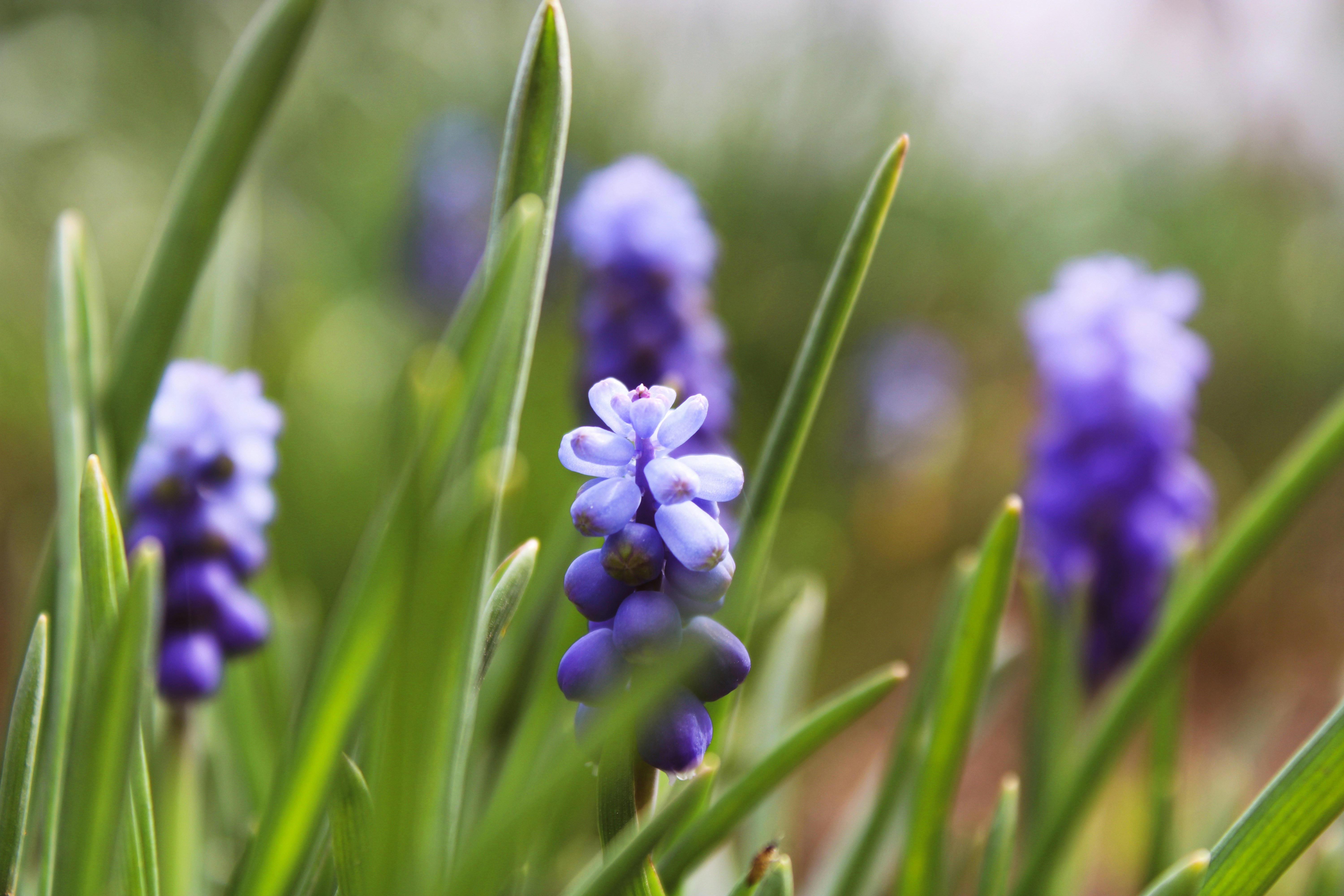 Photo by slenderamigo