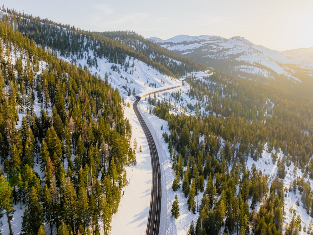 a train traveling through a snow covered forest