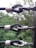 Metal cable clamps securing thick black ropes to a wooden post are prominently featured, against a backdrop of lush green foliage. The metal components have a shiny appearance with droplets of water indicating recent rain.