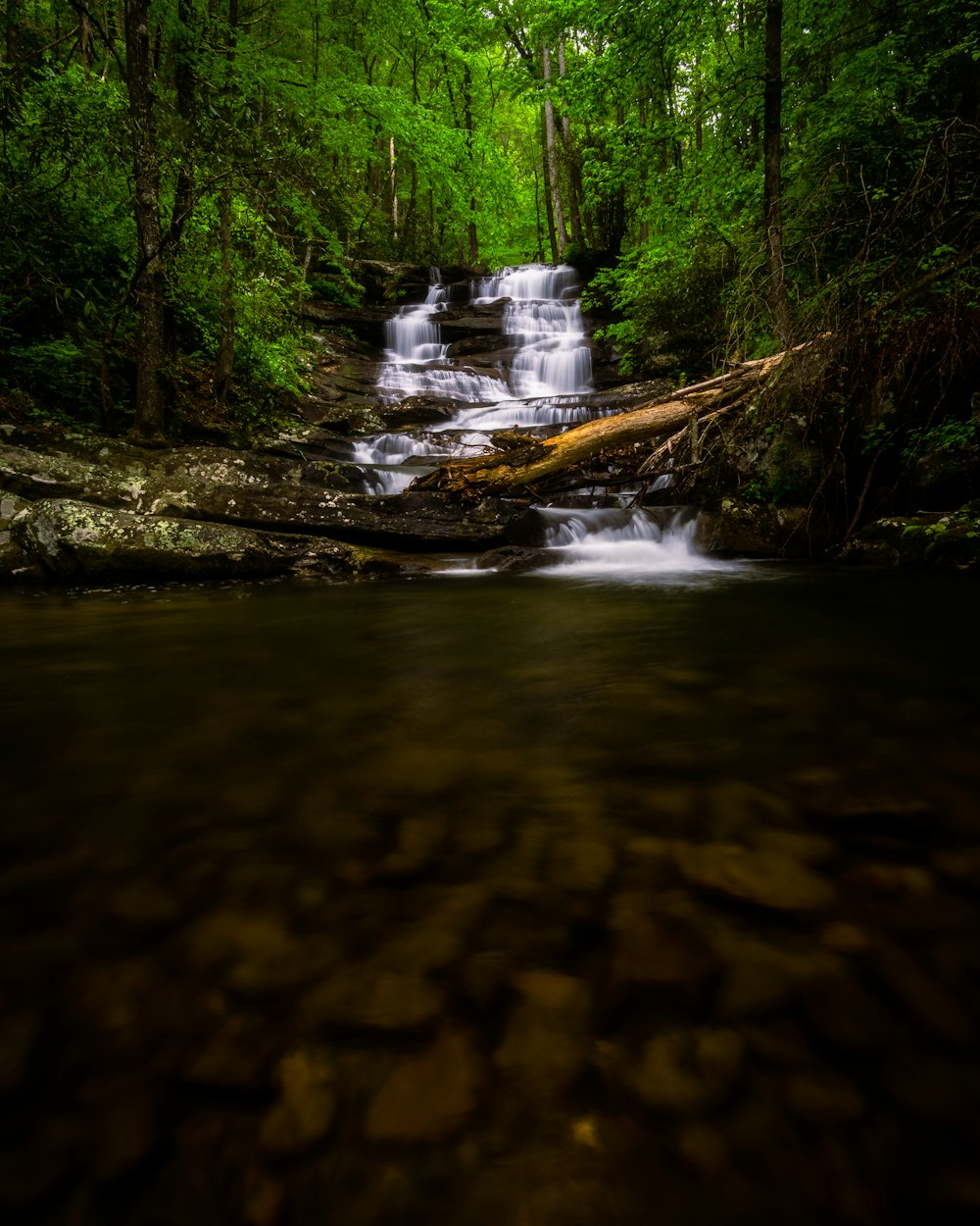 a small waterfall in the middle of a forest