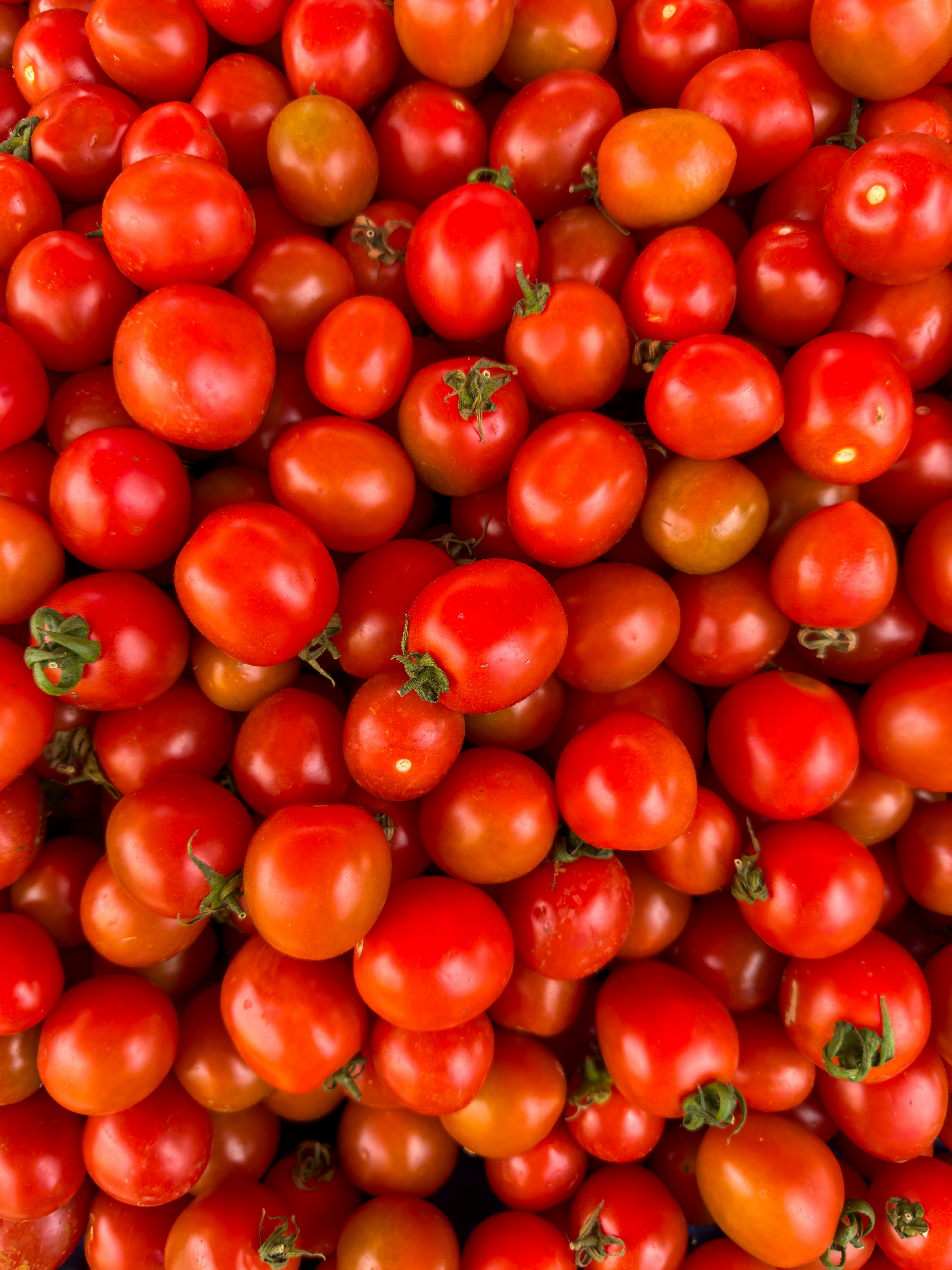 Photo by enginakyurt